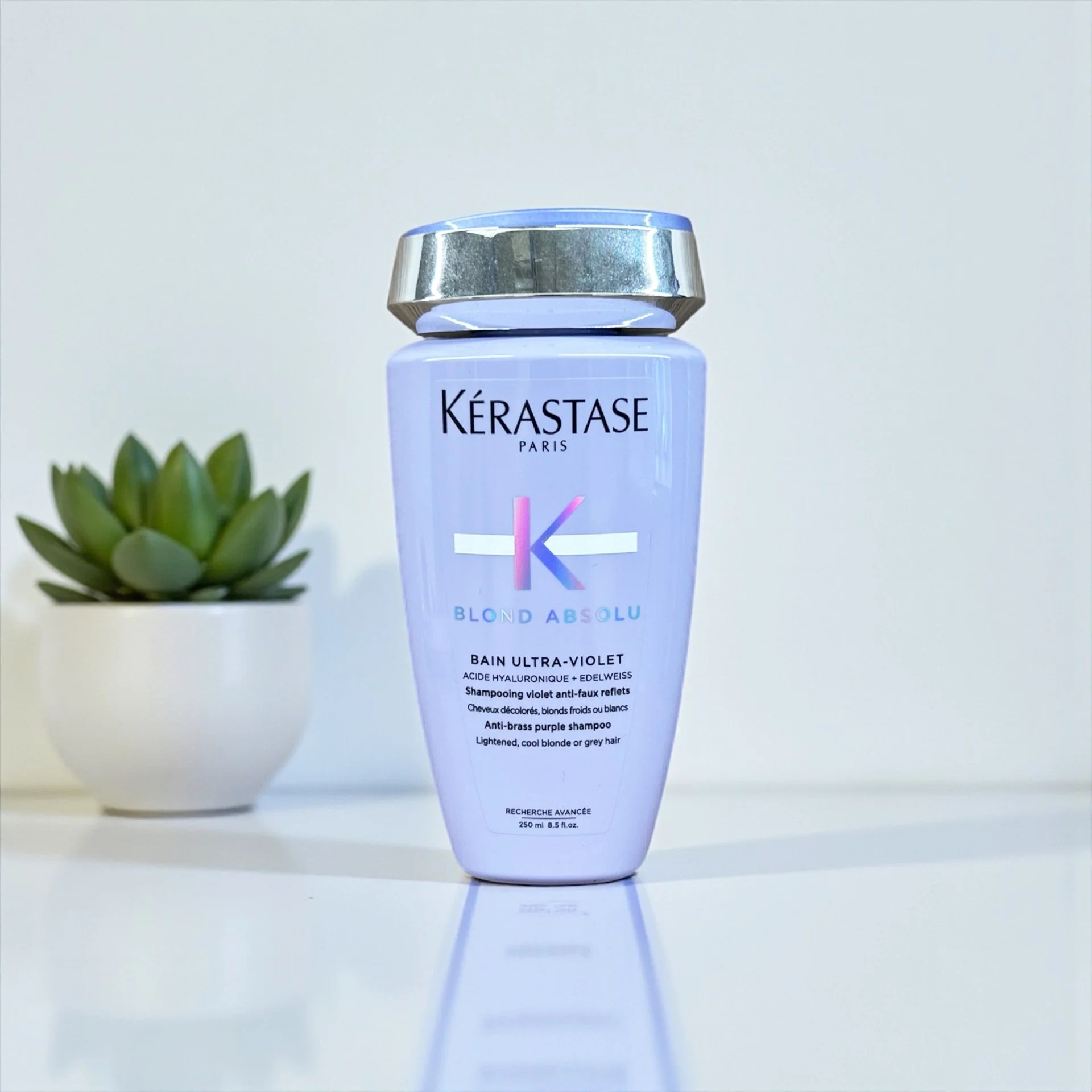 A bottle of Kérastase Blond Absolu purple shampoo with a small potted succulent plant beside it, set against a plain white background.