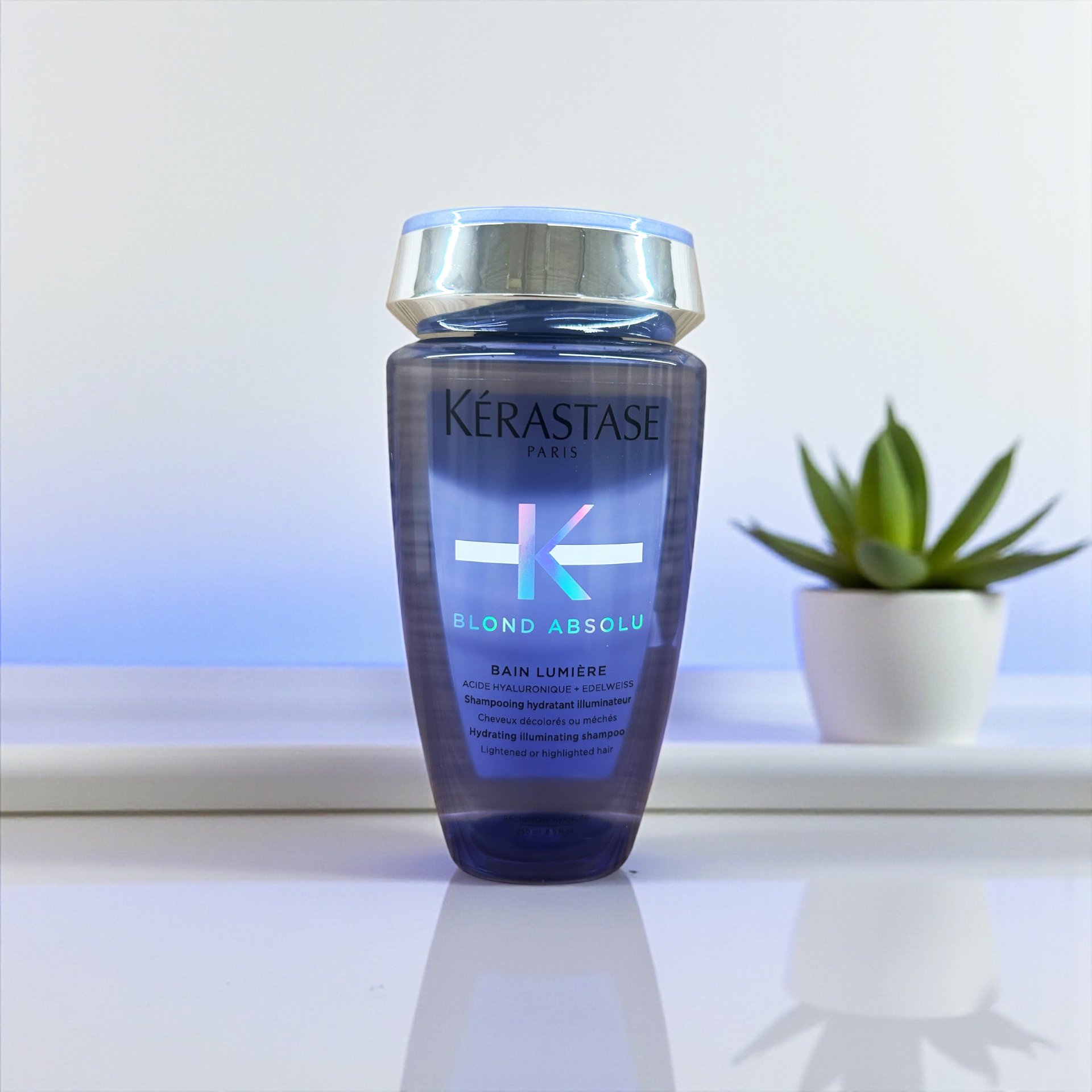 A bottle of Kerastase Blond Absolu hydrating illuminating shampoo on a white surface with a small potted succulent plant in the background.