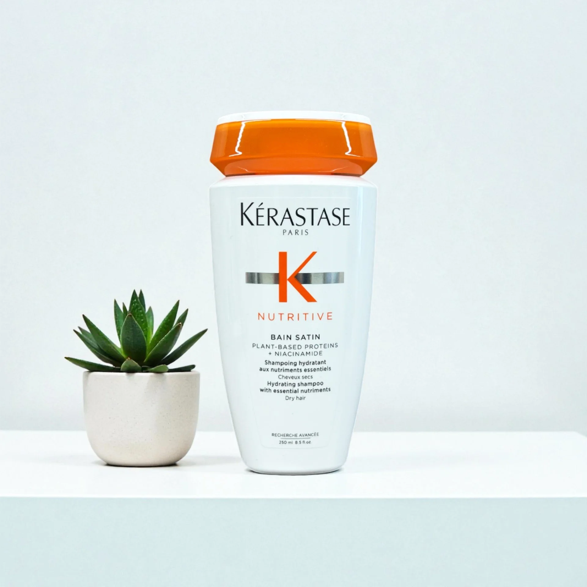 A bottle of Kérastase Nutritive Bain Satin shampoo beside a small potted succulent plant on a white surface against a white background.