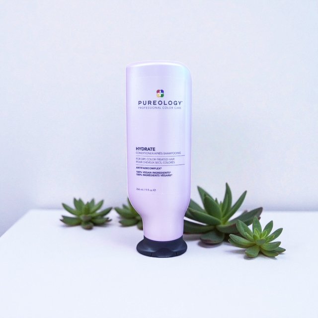 A tube of Pureology hydrate shampoo standing upright on a white surface surrounded by green succulent plants, with a plain white background.