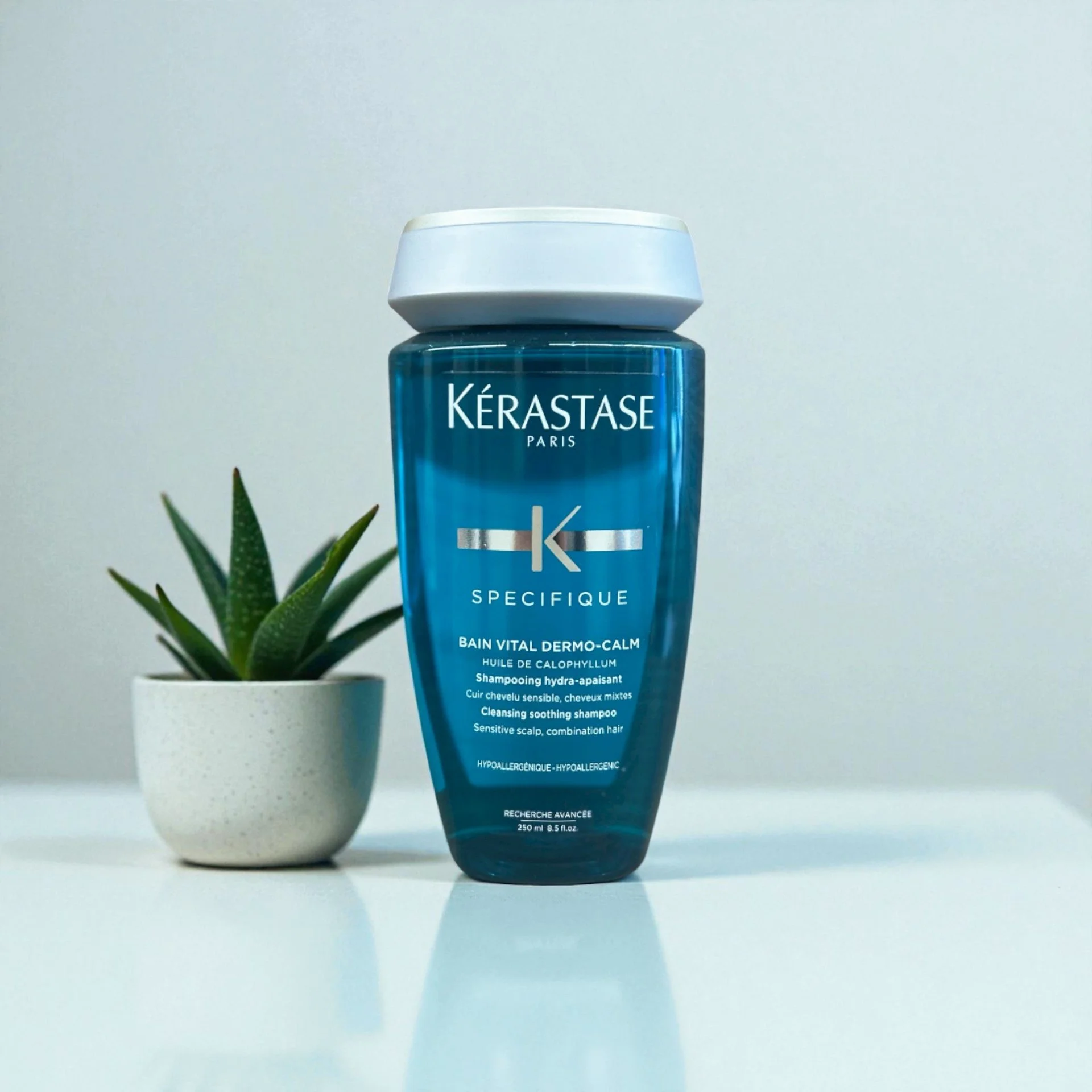 A blue bottle of Kérastase Specifique Bain Vital Dermo-Calm shampoo with a white cap, placed next to a small potted succulent on a white surface against a light gray background.