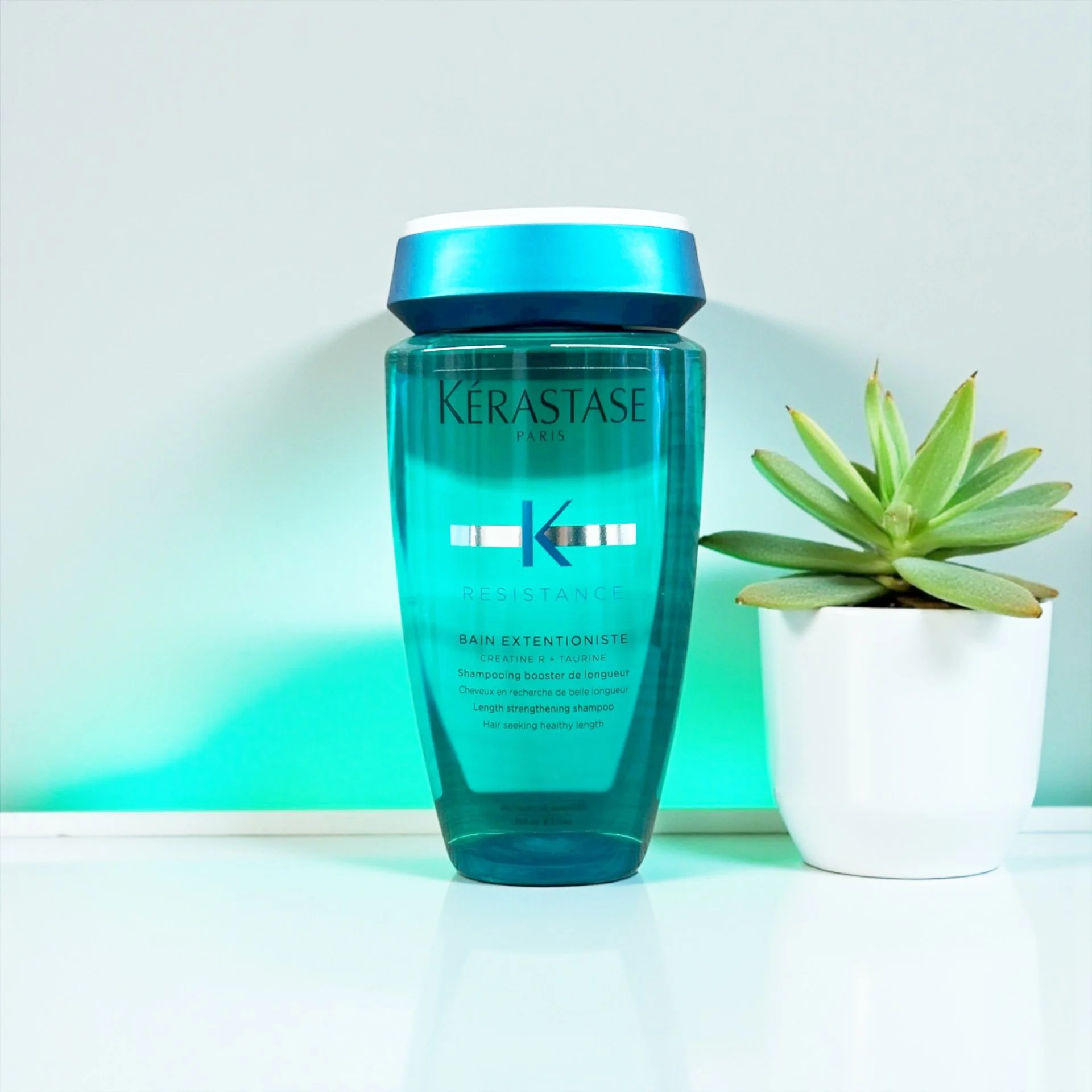 Bottle of Kérastase Resistance Bain Extensioniste shampoo next to a small potted succulent on a white surface with a white background.