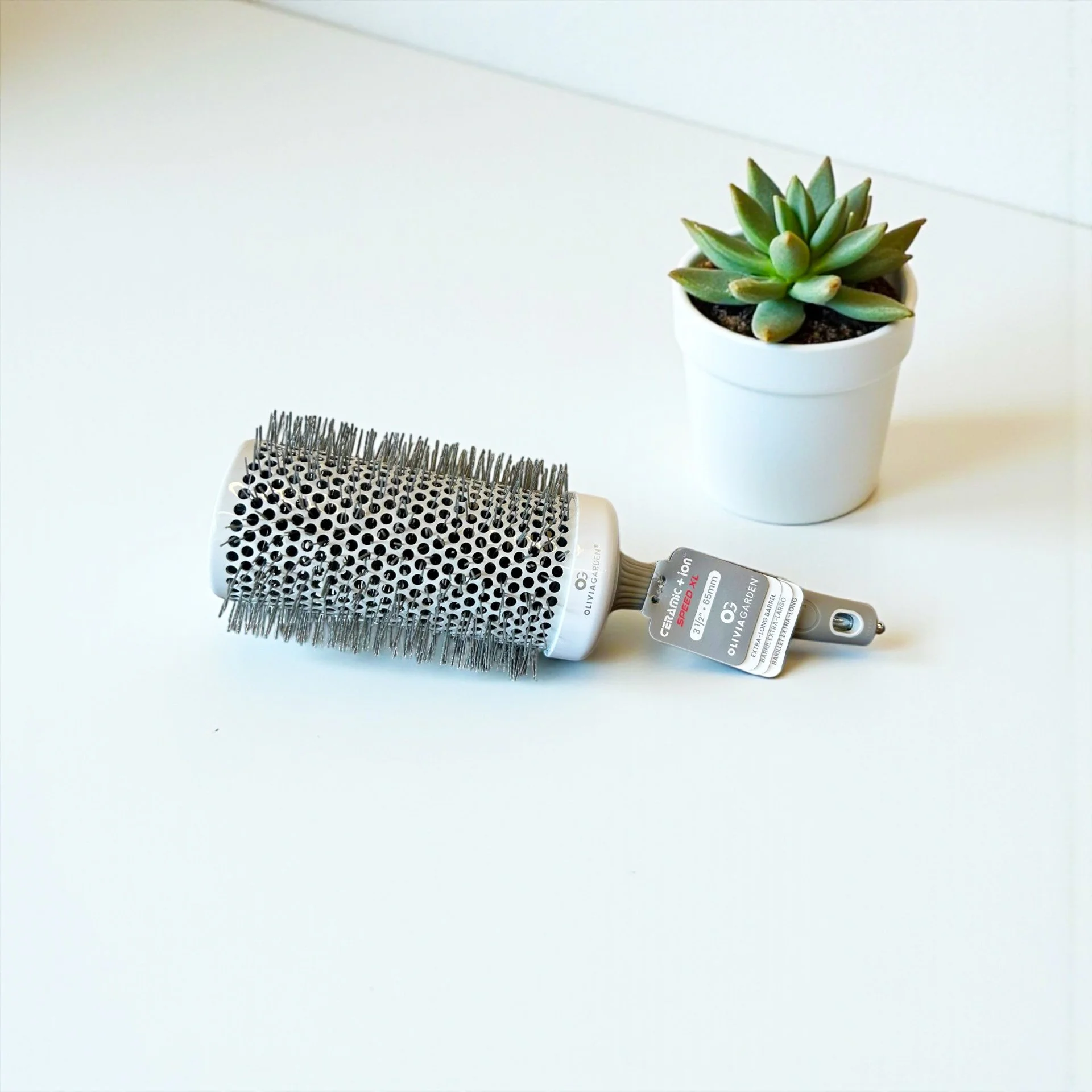 A hairbrush with a white handle and metal bristles, and a potted green succulent plant on a white surface.