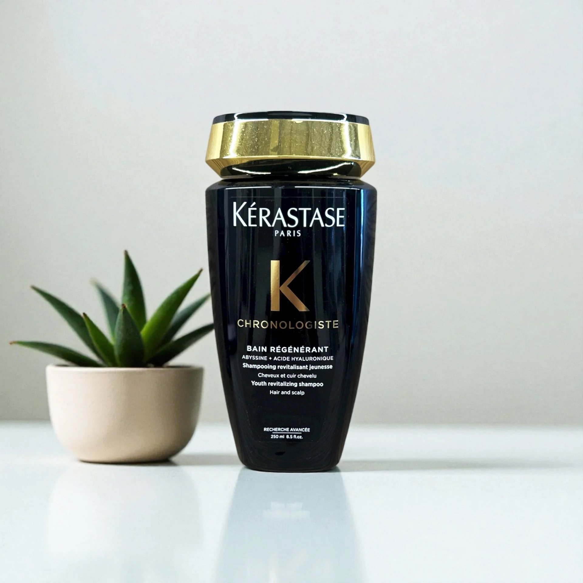 Bottle of Kérastase Paris Chronologiste youth revitalizing shampoo next to a potted succulent plant on a white surface.