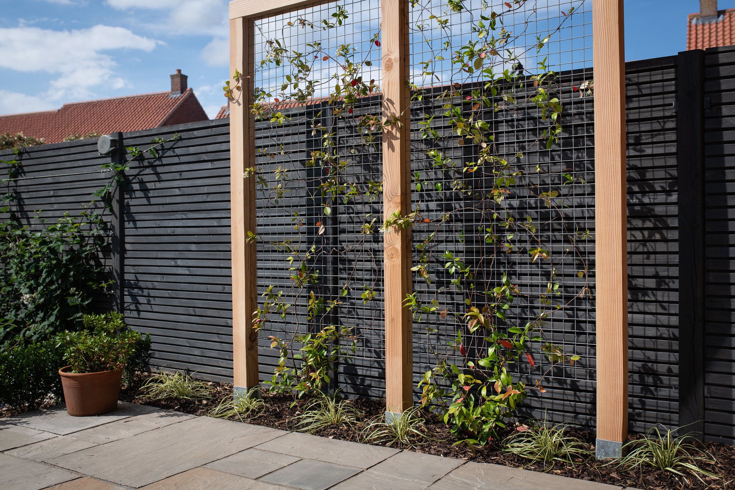 custom design timber trellis with star jasmine