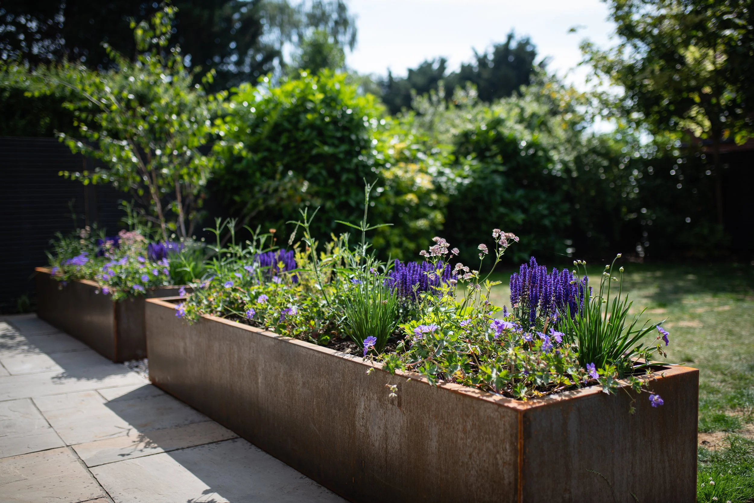 corten steel raised bed with perennial flowers