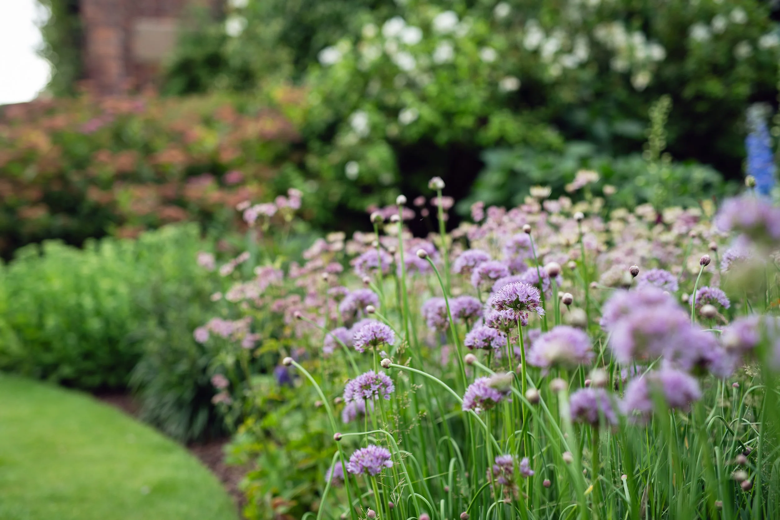 limpool_farm_flower_bed_3-1.jpg