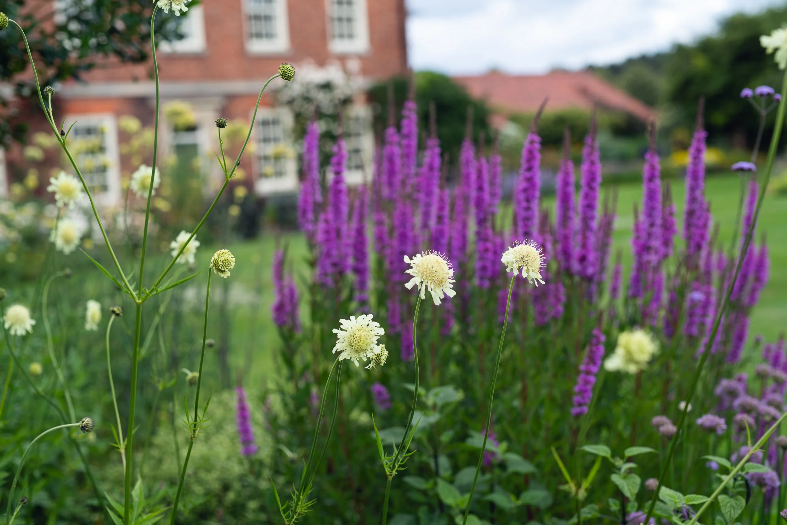 richard_crowe_garden_2-1.jpg