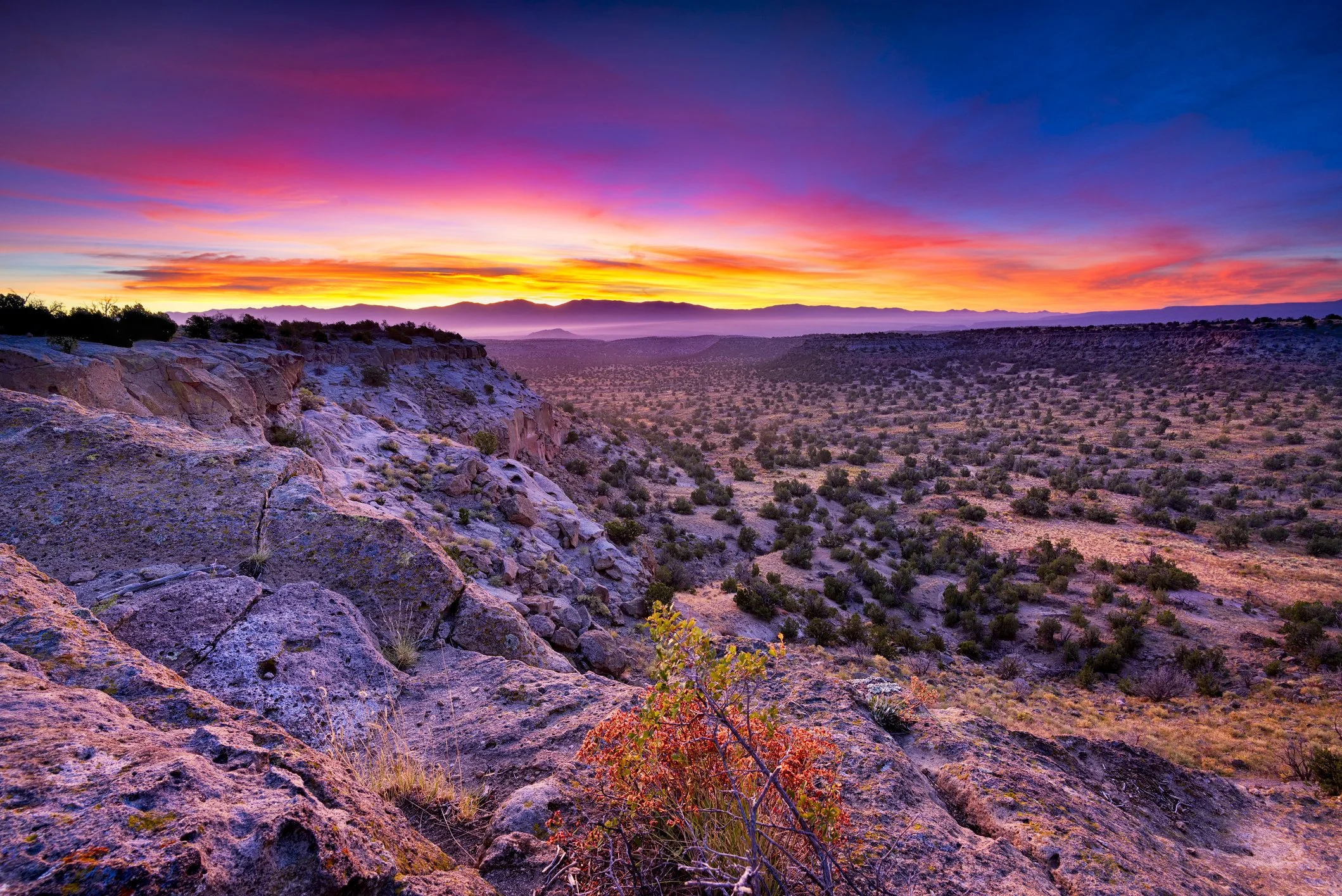 Scenic view of a desert in New Mexico at sunset