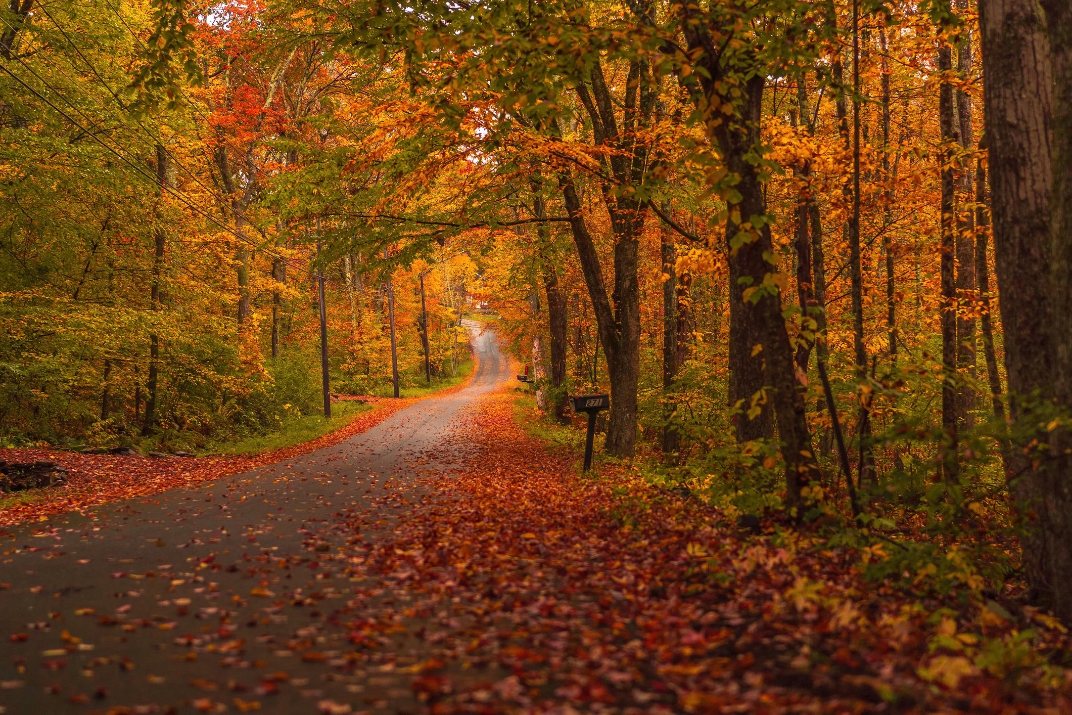 Scenic view of a road in fall, Massachusetts