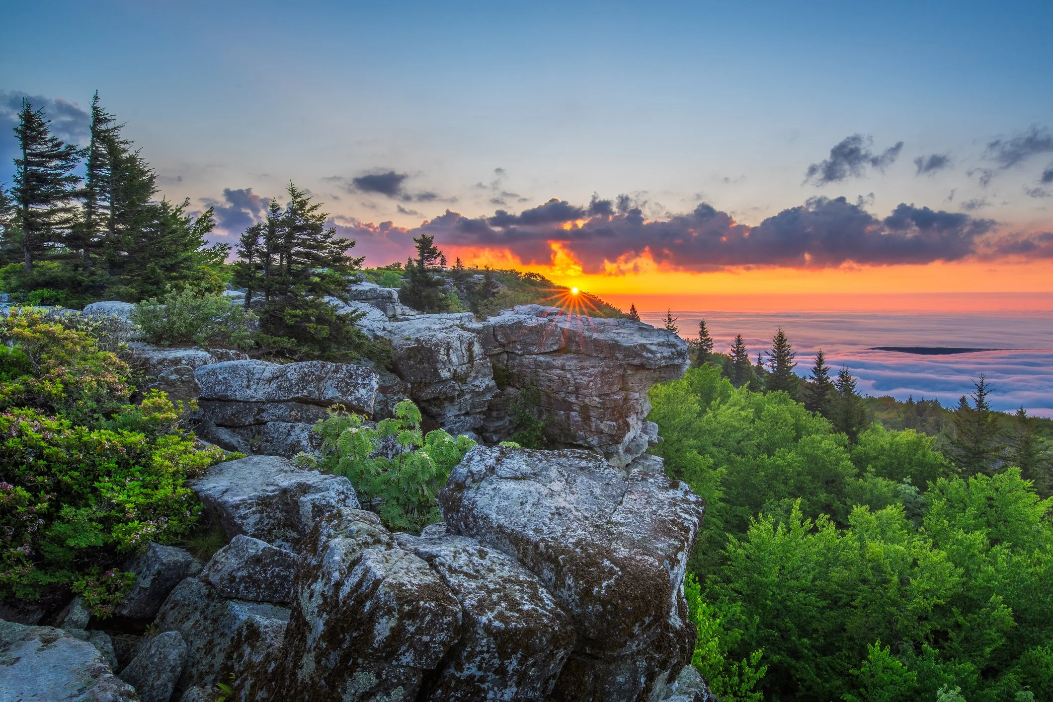 Sunset view from the Bear Rocks Preserve within the Dolly Sods Wilderness in West Virginia.