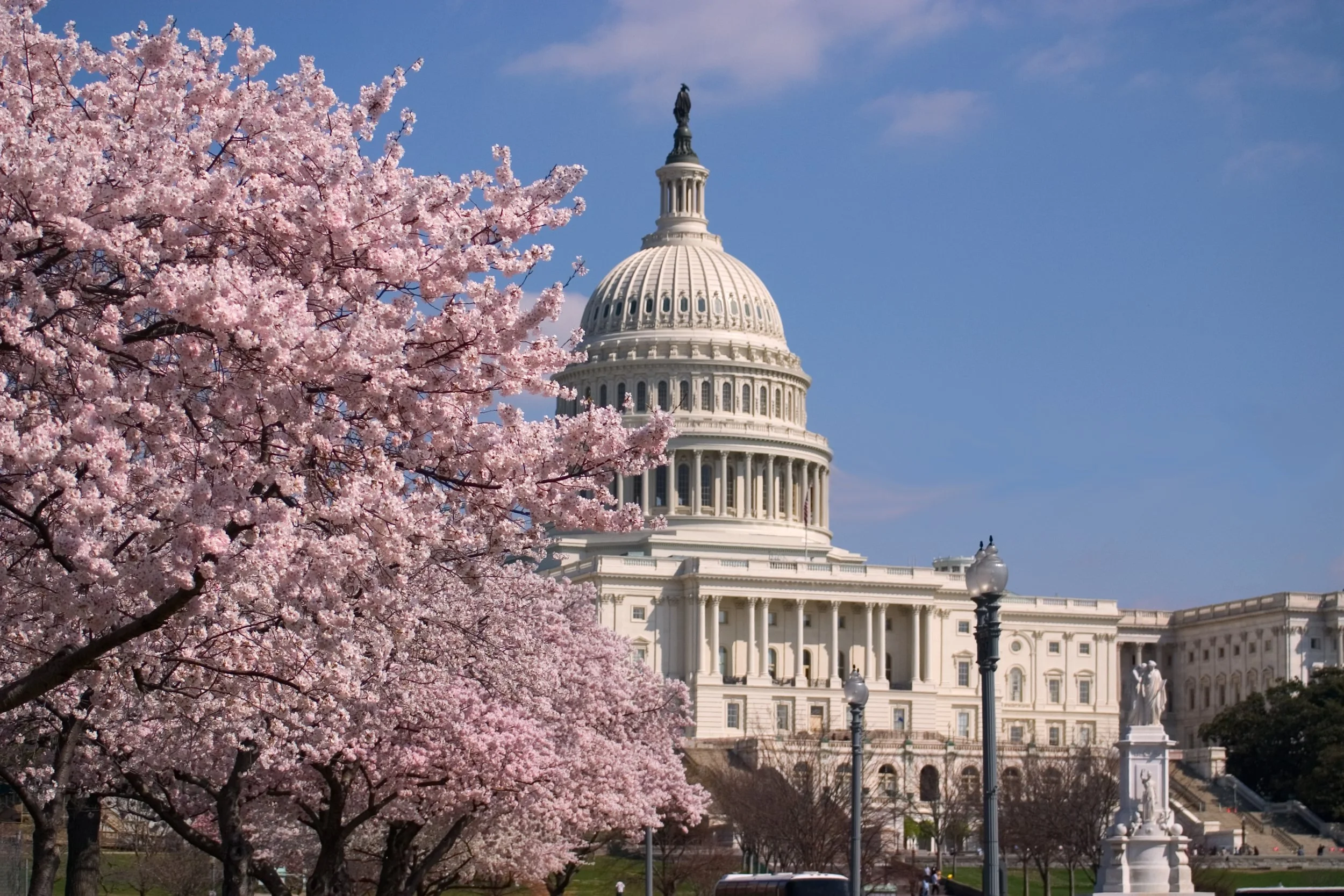 The United States Capitol Building, Washington, DC