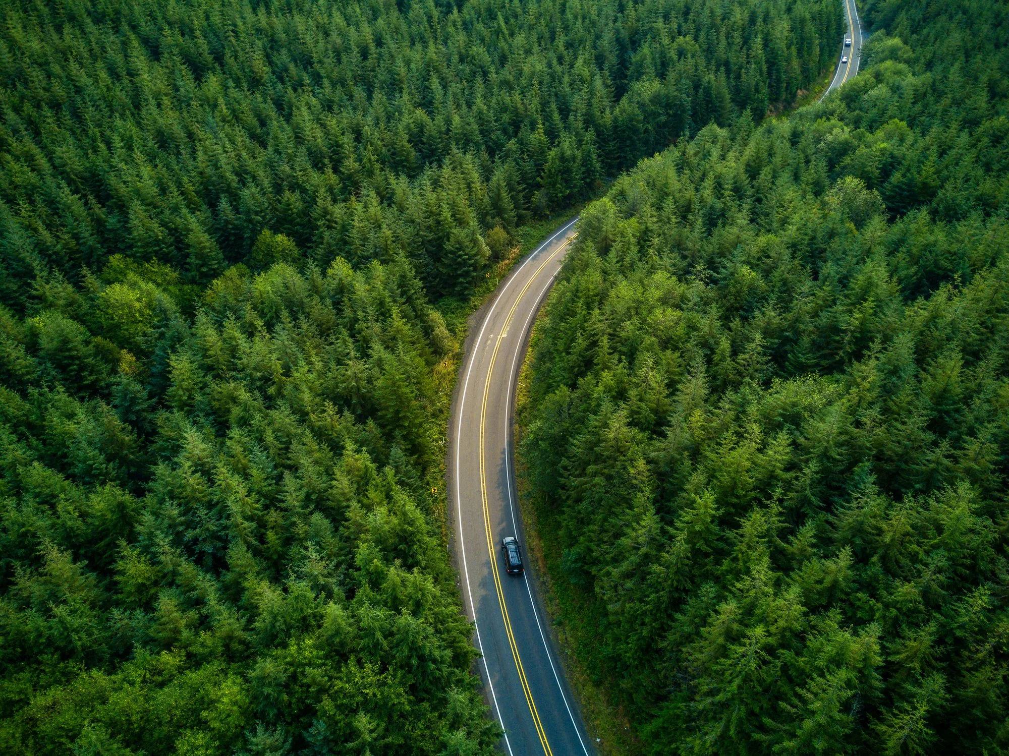 Scenic aerial view of a winding road through a lush evergreen forest in Washington
