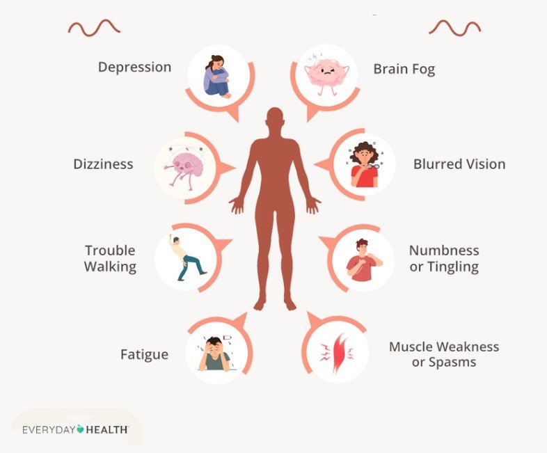 How MS Affects the BOdy