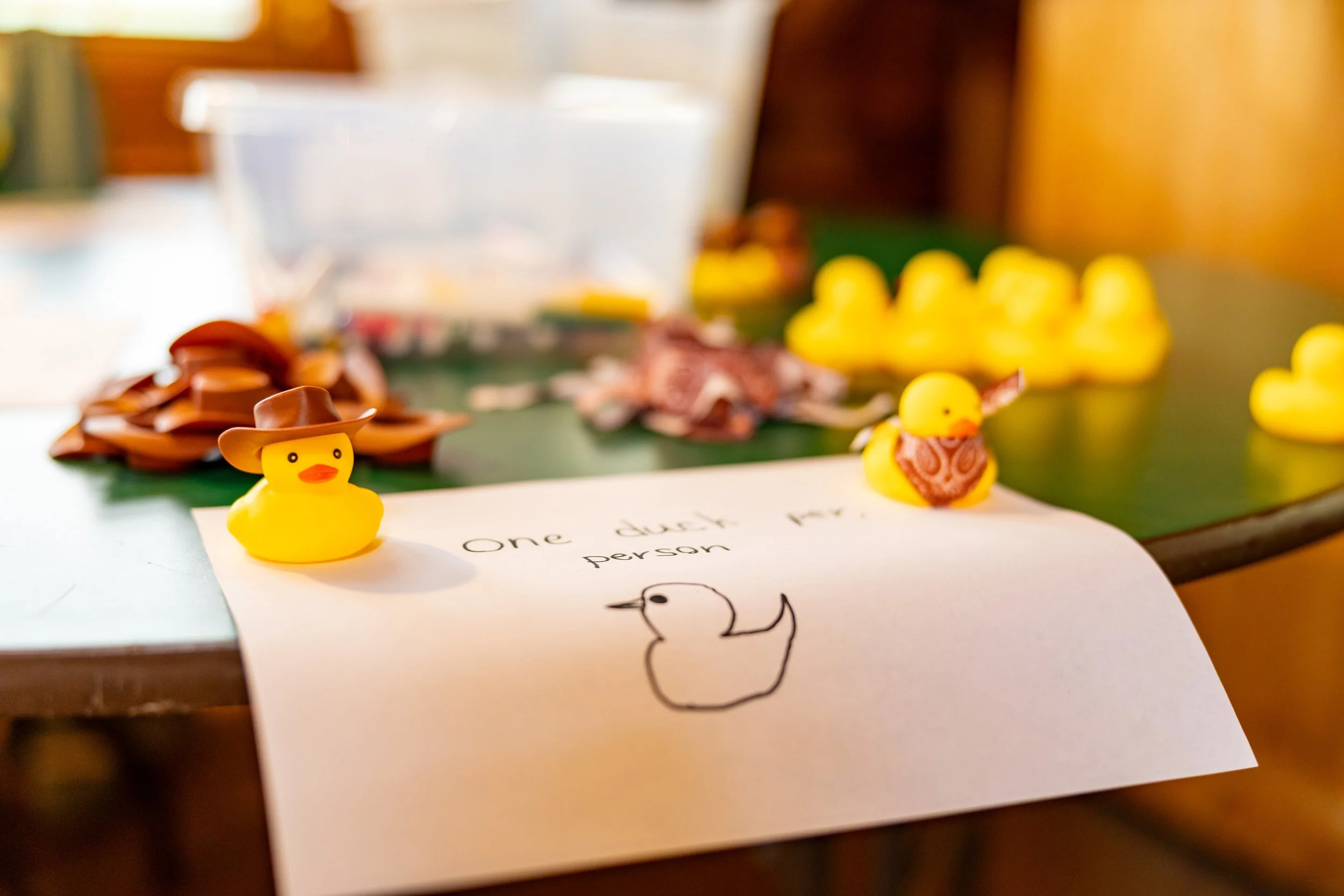 Full_Res_DLP24847.jpg