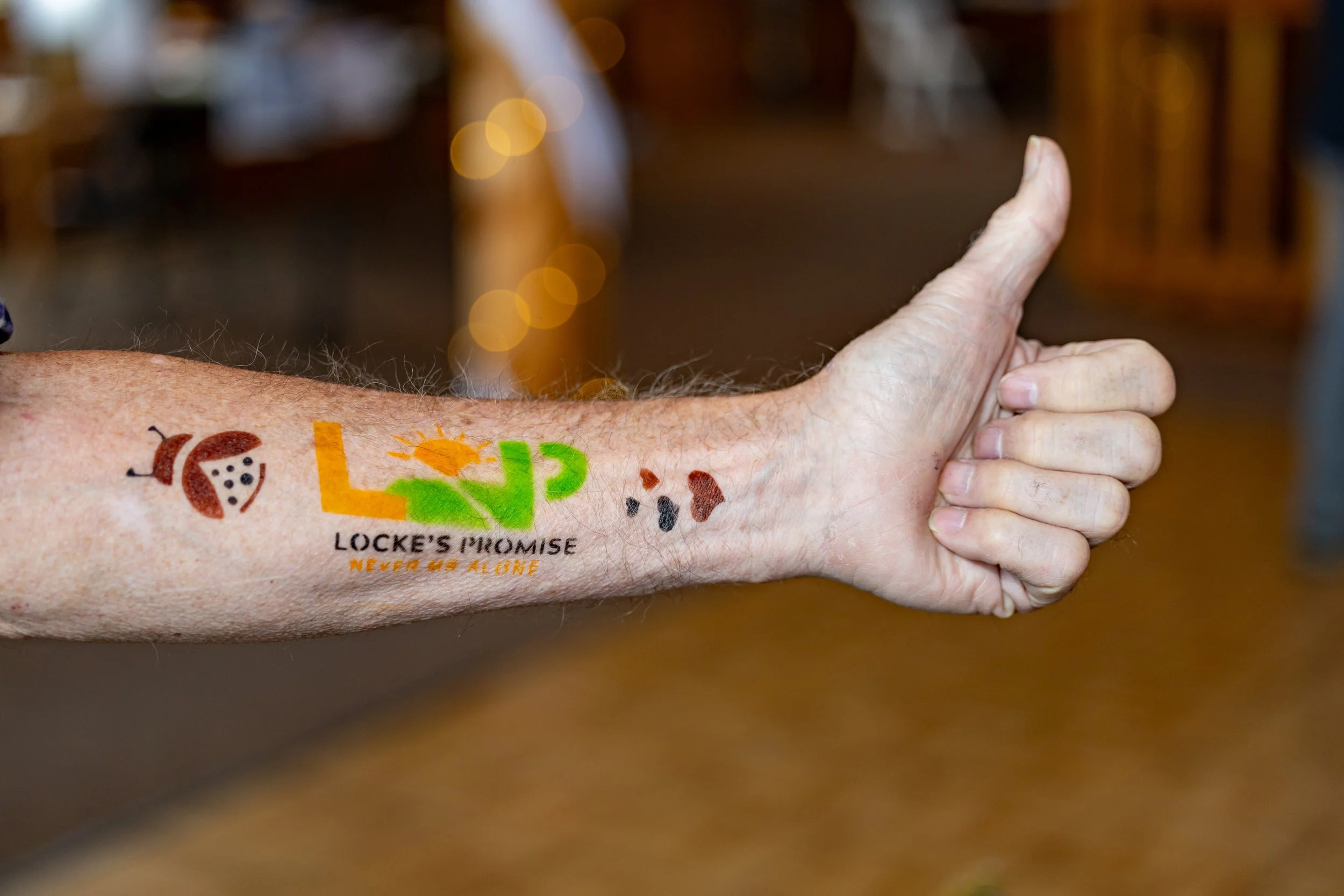 Full_Res_DLP16125.jpg