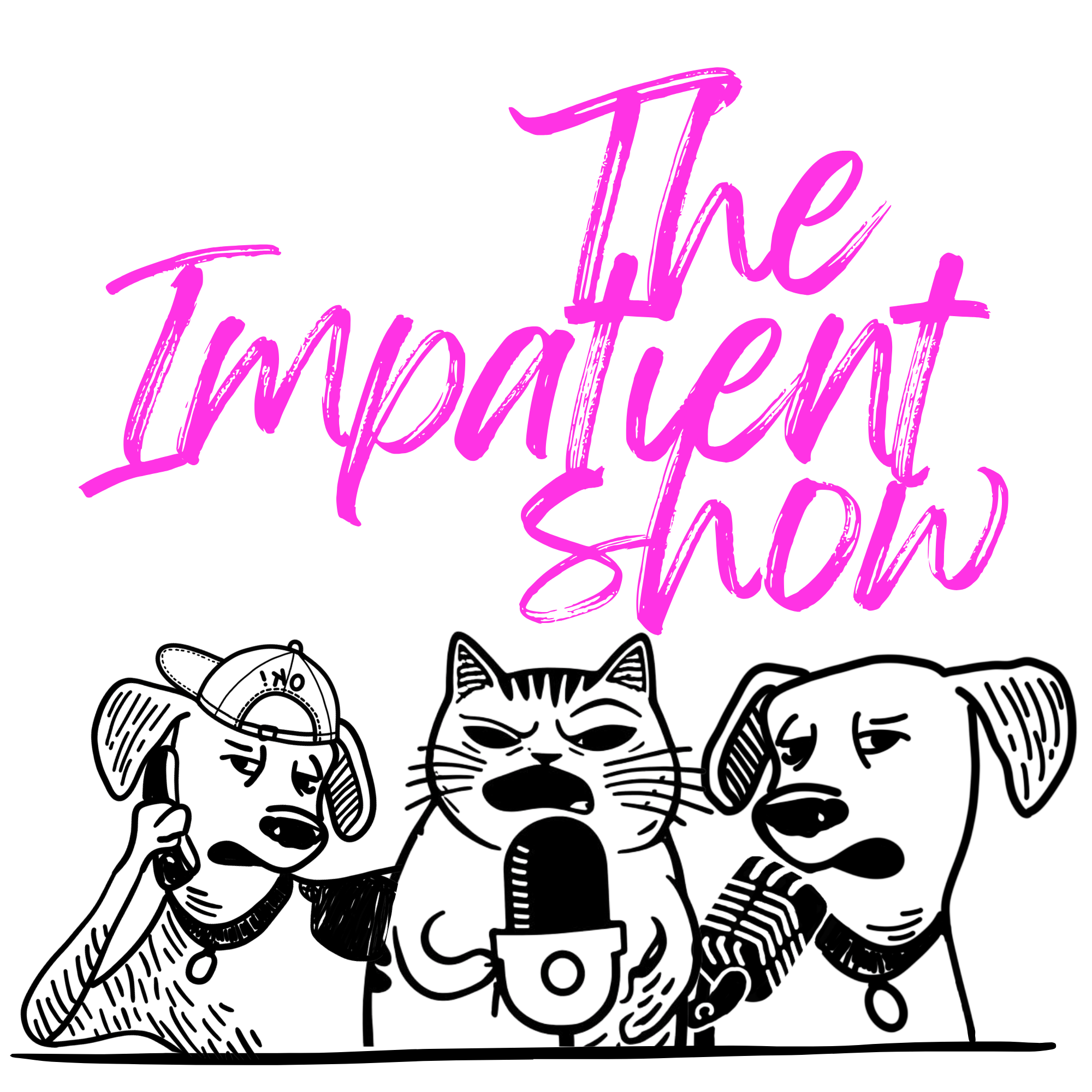 Neon-style pink text reads 'The Important Show' on a black background, with white line drawings of a dog wearing a cap and sunglasses, and a cat holding a microphone.
