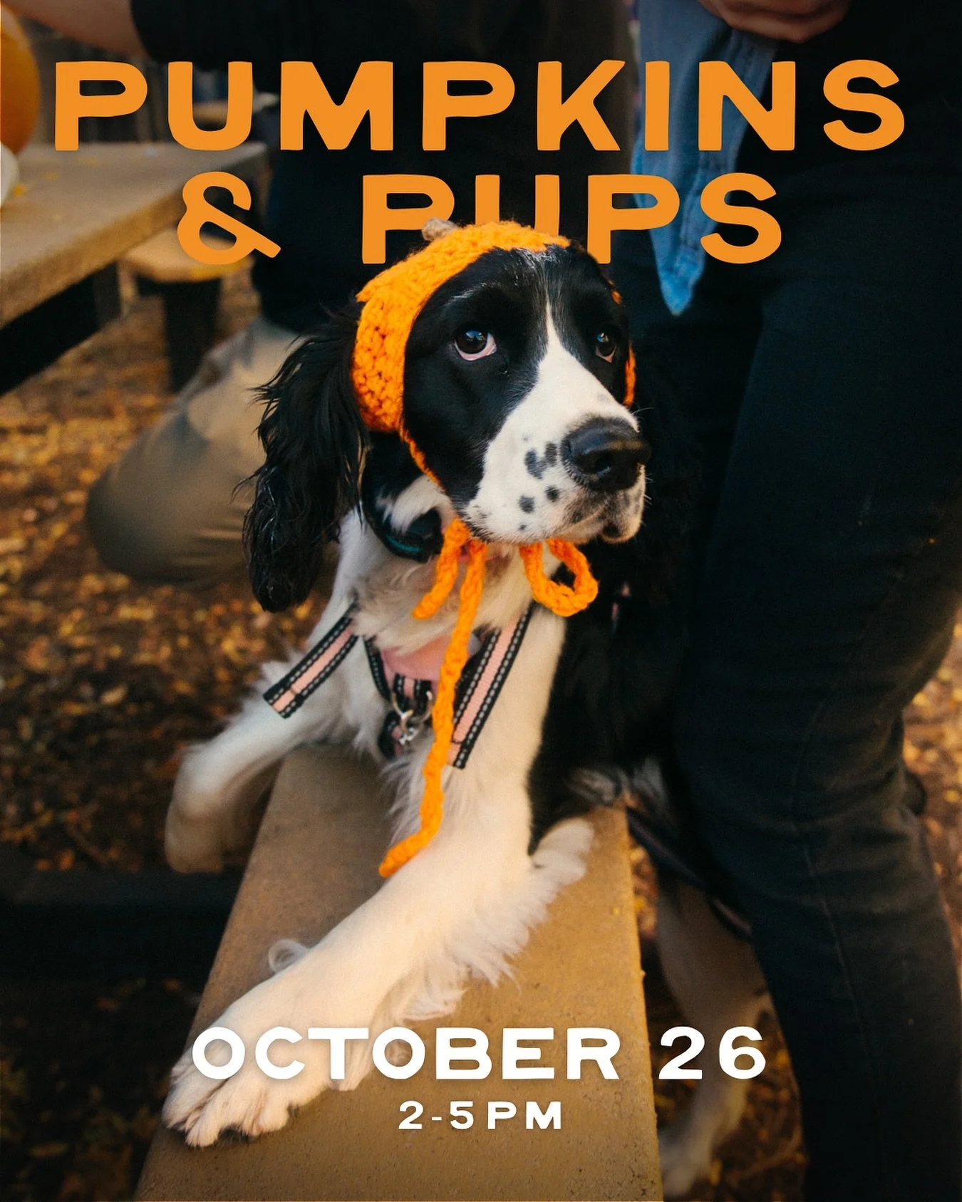 Our 7th annual Pumpkins and Pups is back on Sunday, October 26 from 2&ndash;5pm. Bring your dog &mdash; we&rsquo;ll provide the pumpkins. It&rsquo;s part dog meet-up, part pumpkin carving party, and all free.

We&rsquo;ll have pumpkins, carving tools