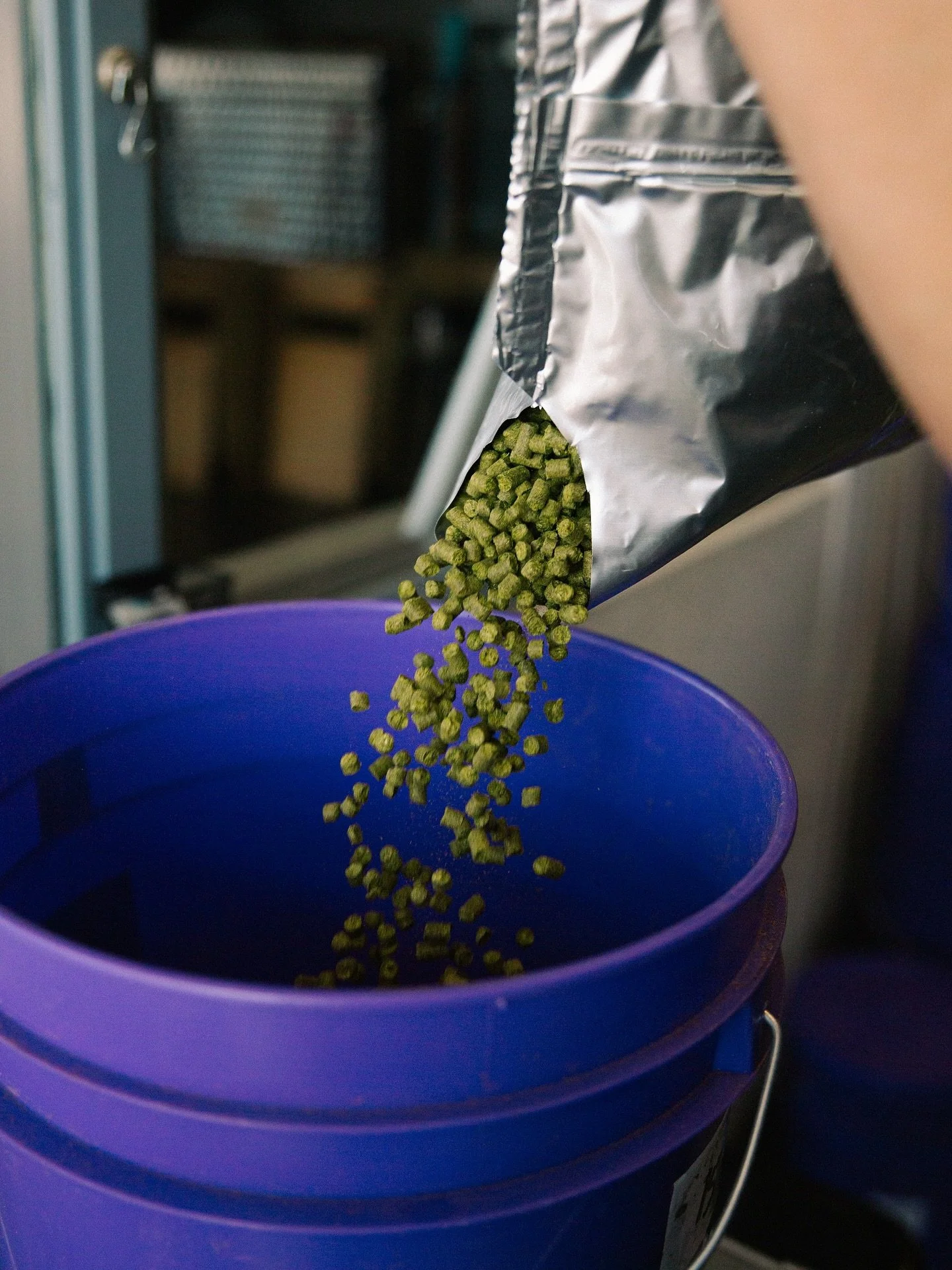 Pennyweighter DIPA

Zappa. Mosaic. Michigan Chinook.
Finished with Star Thistle honey.
Belgo. Bold. Balanced.

8.2% ABV | 80 IBU
Now pouring!

@stambrosecellars 
@hopalliance