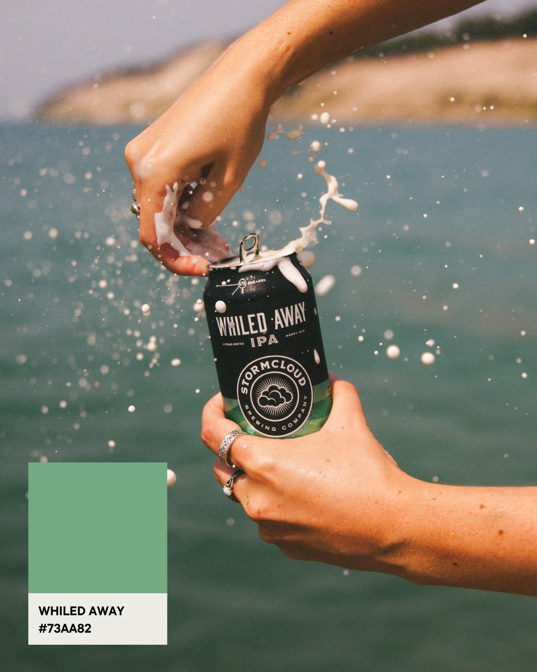 Stormcloud&rsquo;s Colors of the Year&mdash;

Which is your favorite?