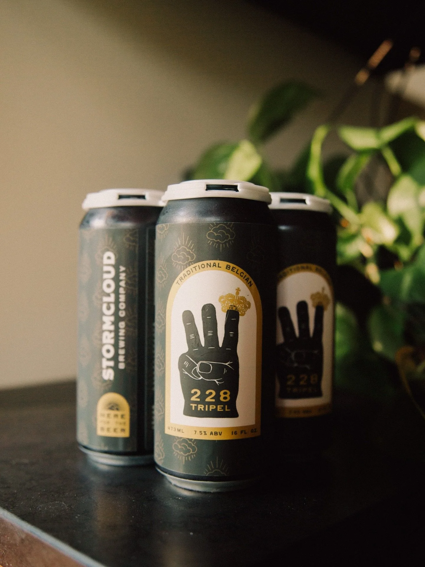 HAPPY INTERNATIONAL TRIPEL DAY!

Today we  celebrate, honor, and enjoy one of the world&rsquo;s greatest beer styles. This internationally recognized beer holiday we will have $3.33 pours of BOTH of our Belgian Tripels&mdash;228 Tripel &amp; DH3PEL. 