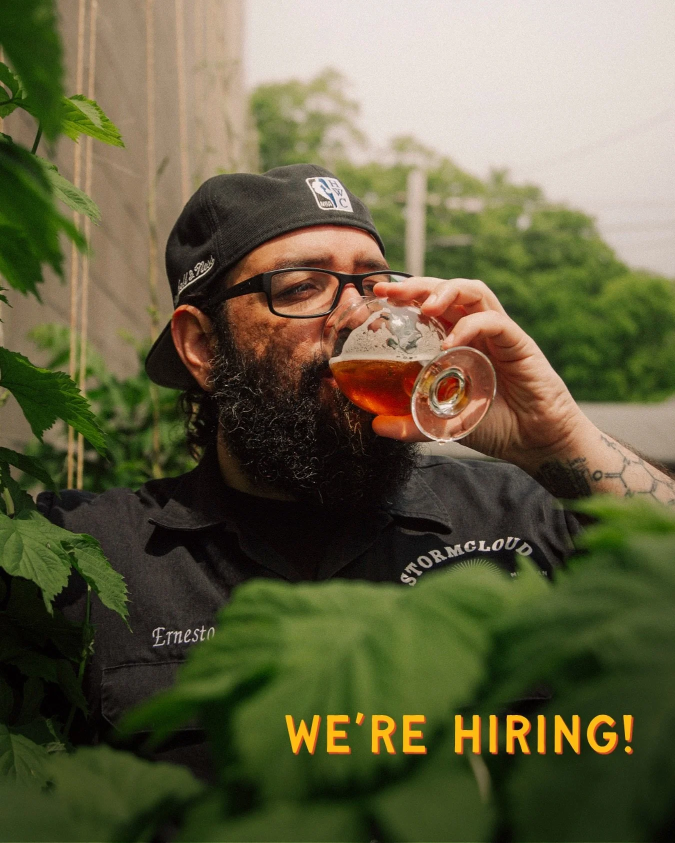 JOIN OUR CREW!

We are hiring all positions at the Downtown Pub for Summer &lsquo;26. Head over to the link in our bio to apply!

🍻🍻🍻