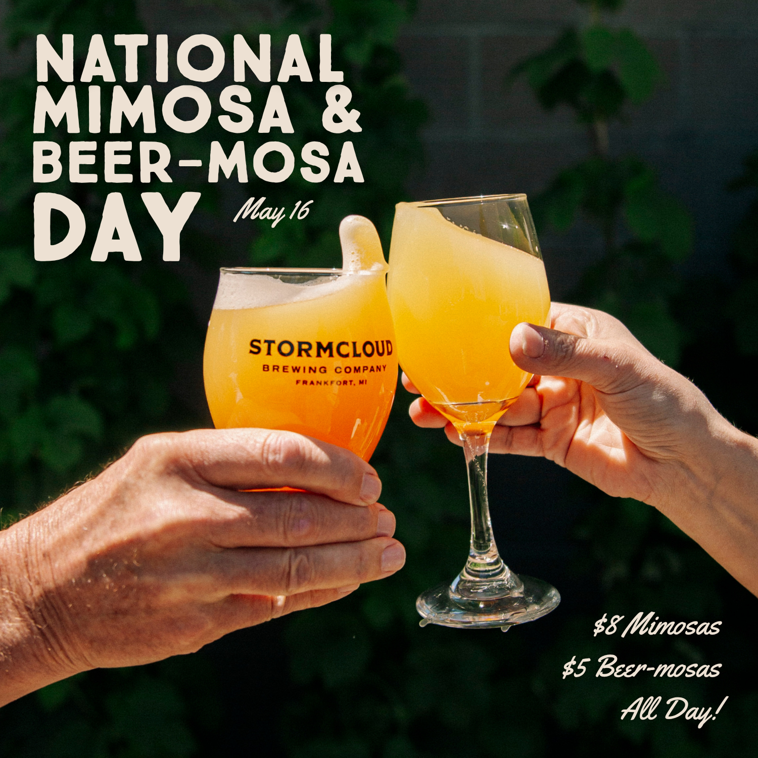 National Mimosa Day