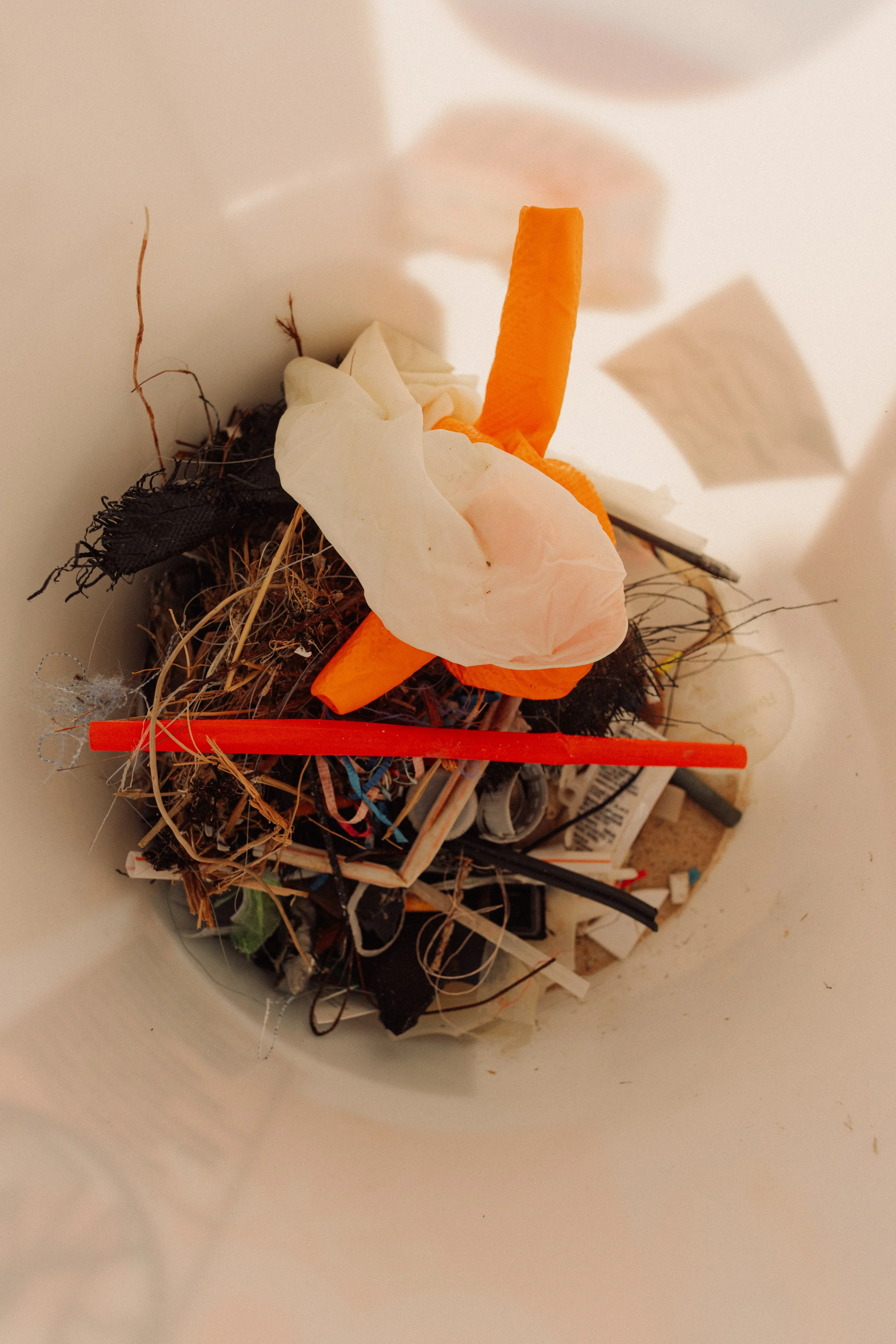 Beach CleanUp-21.jpg