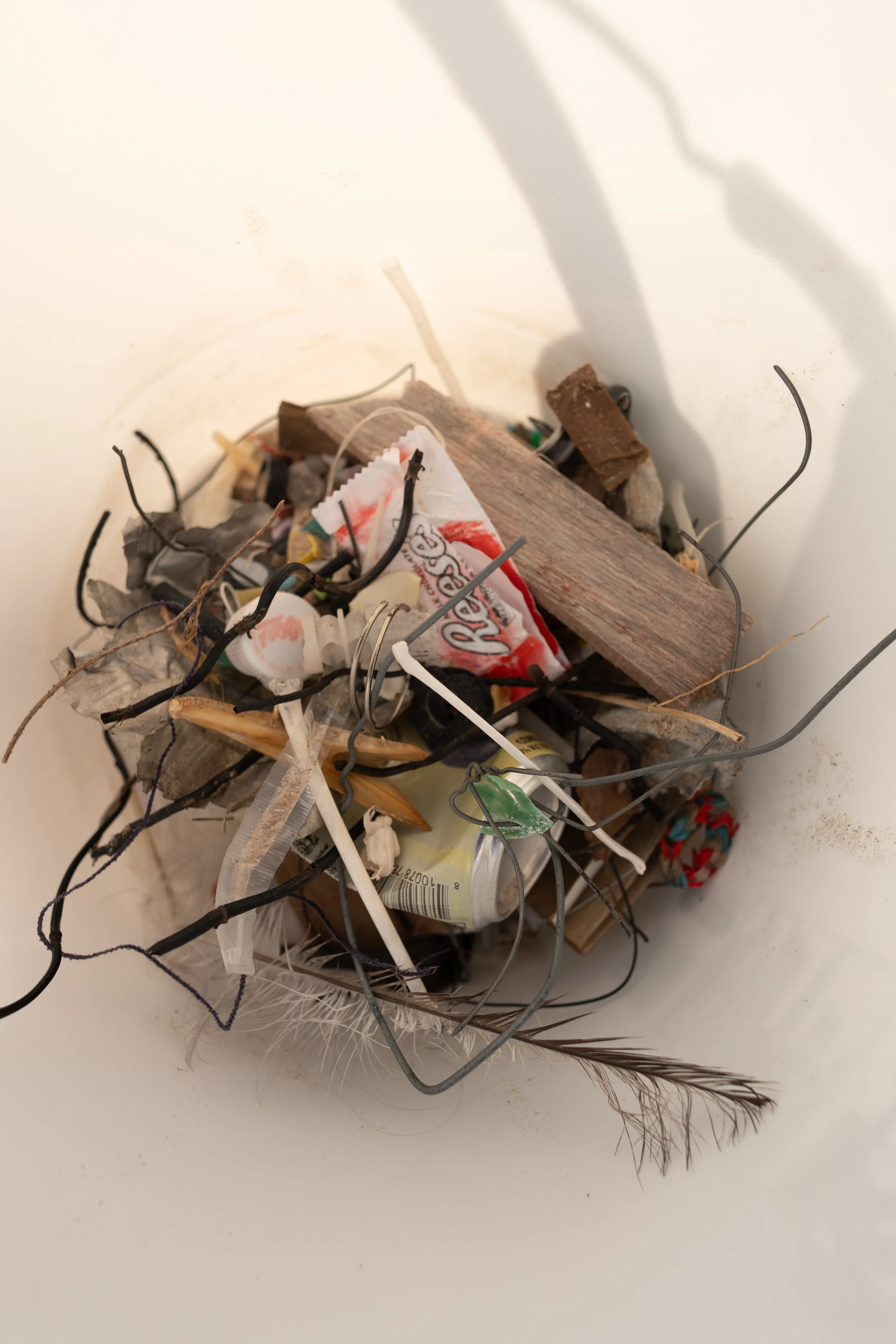 Beach CleanUp-18.jpg
