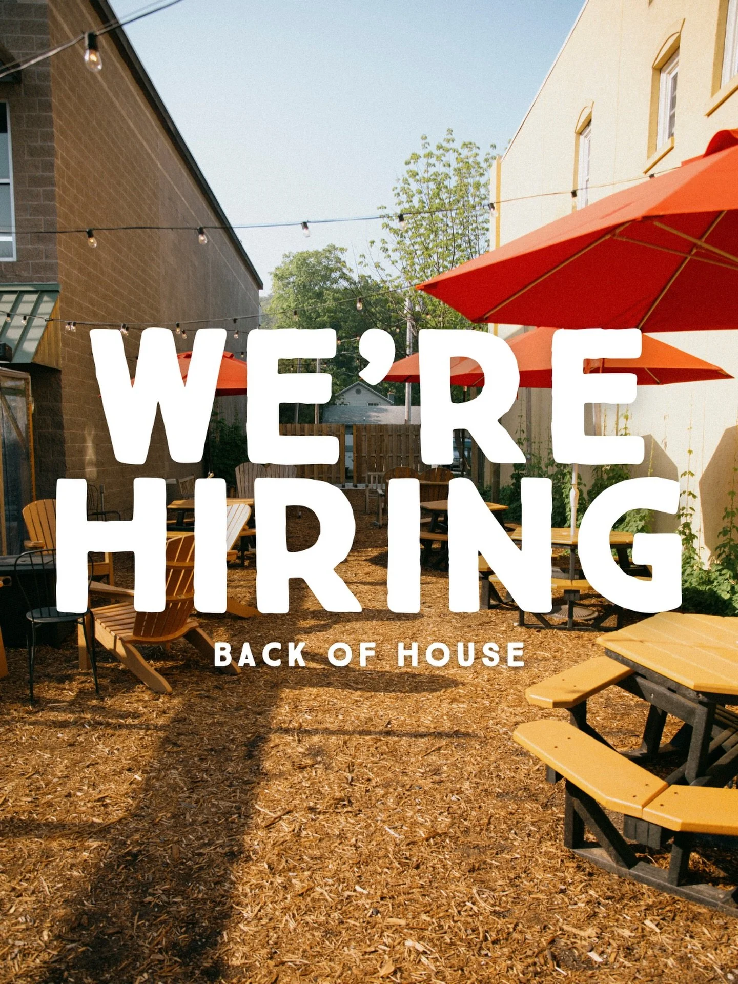 Want to join our kitchen crew for the summer? Apply with the link in our bio 🔗