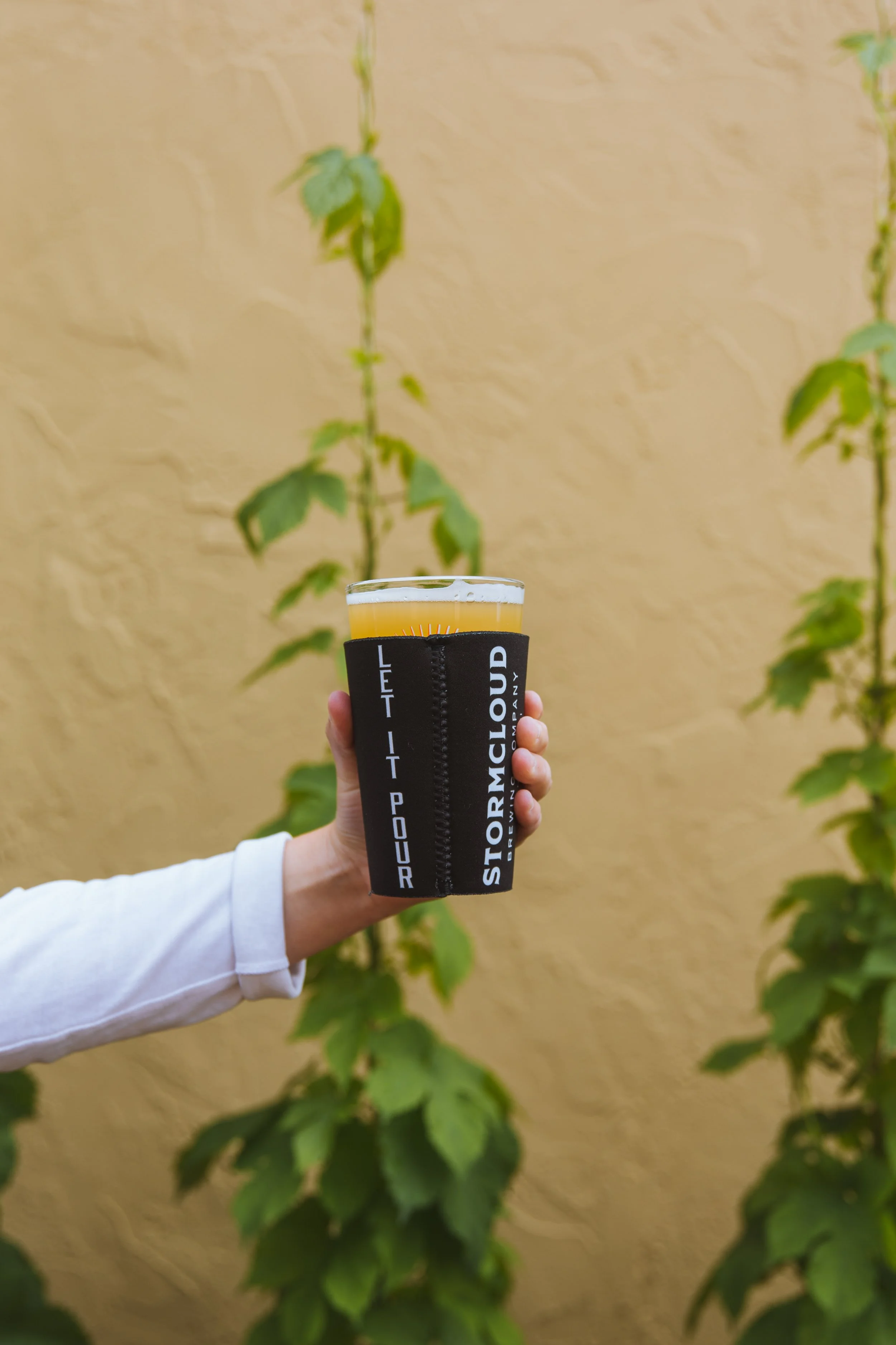 PINT KOOZIE-2.jpg