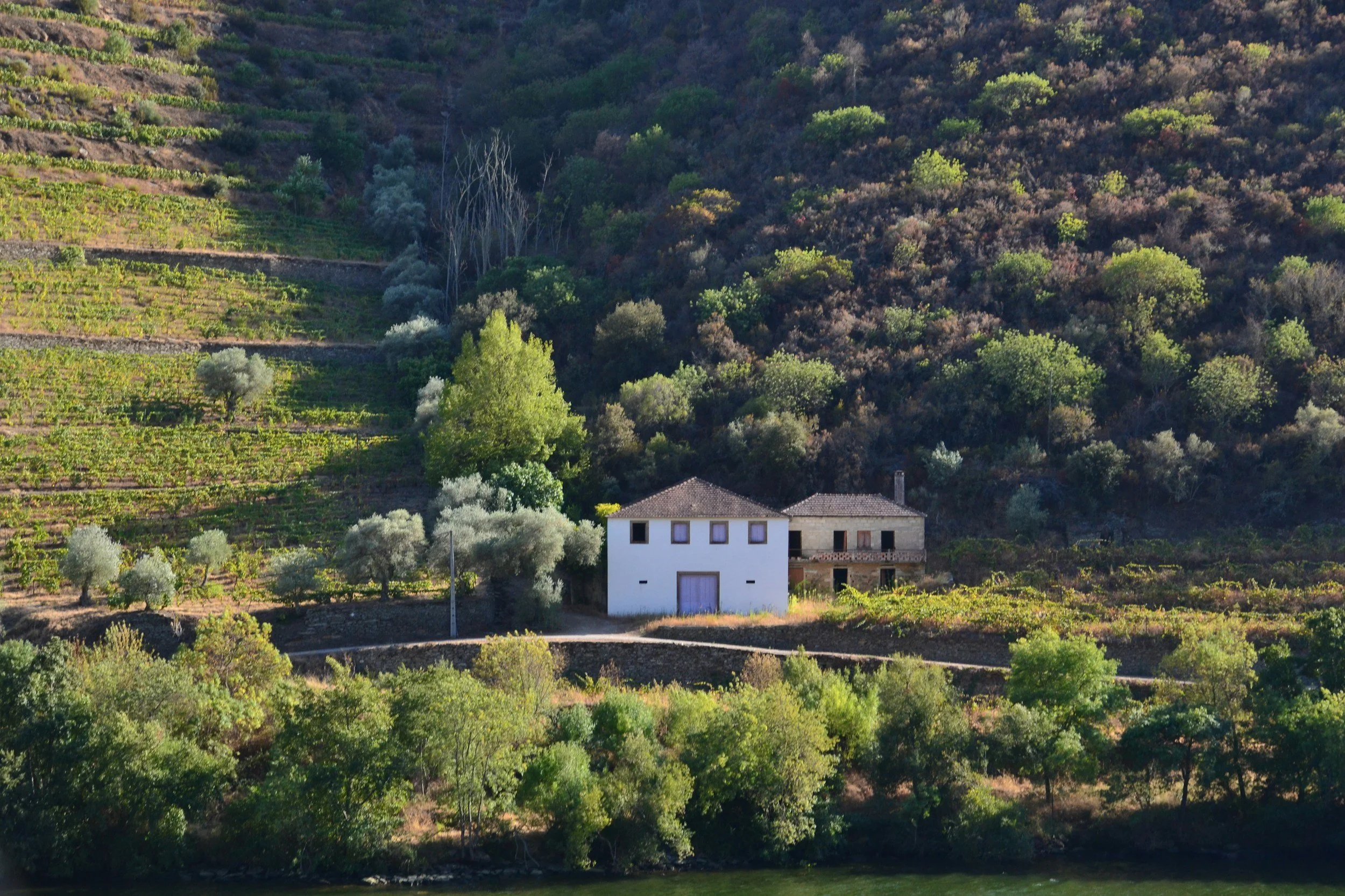 Why Your Property Should Be Working Harder Than You Do