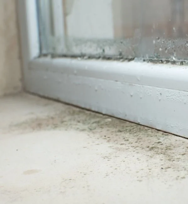 Understanding Humidity in Portugal 