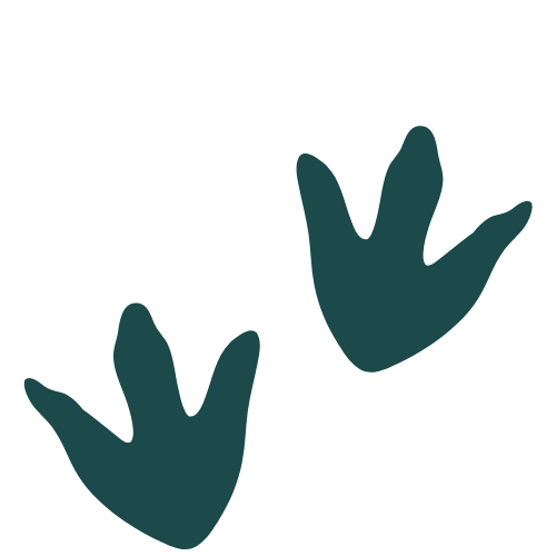 Two dark green handprints on a black background.