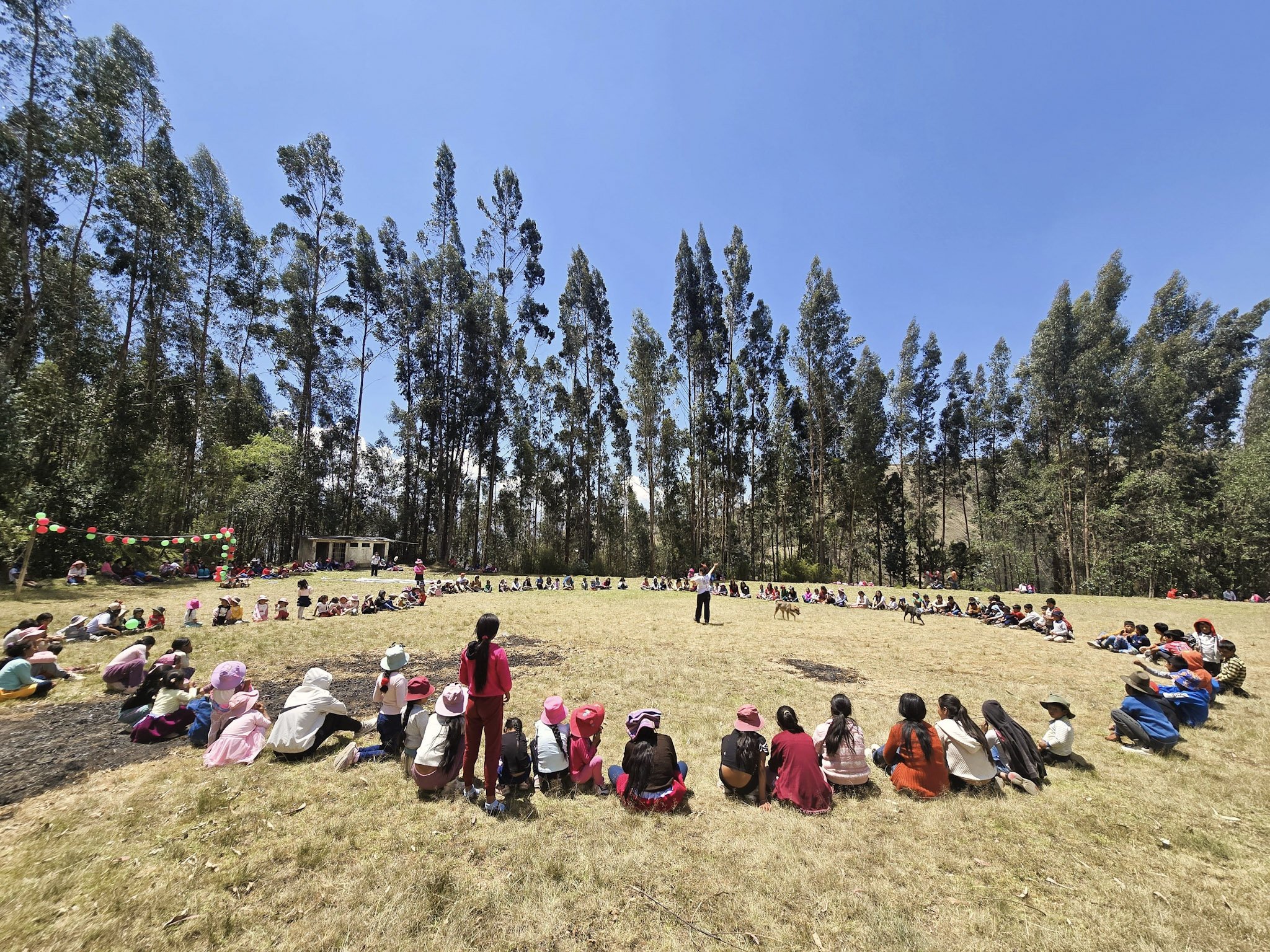 5-Papanoel trekero_ (5).jpg