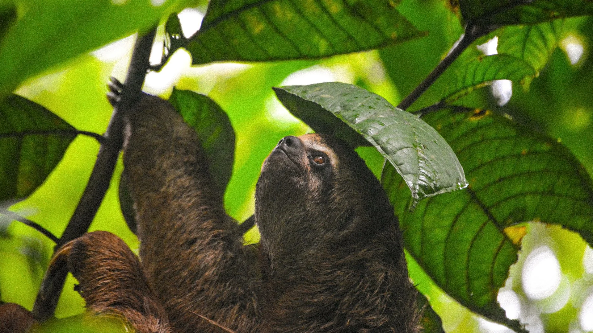 Peru's Protected Areas: 4 Nature Expeditions Worth Planning a Trip Around