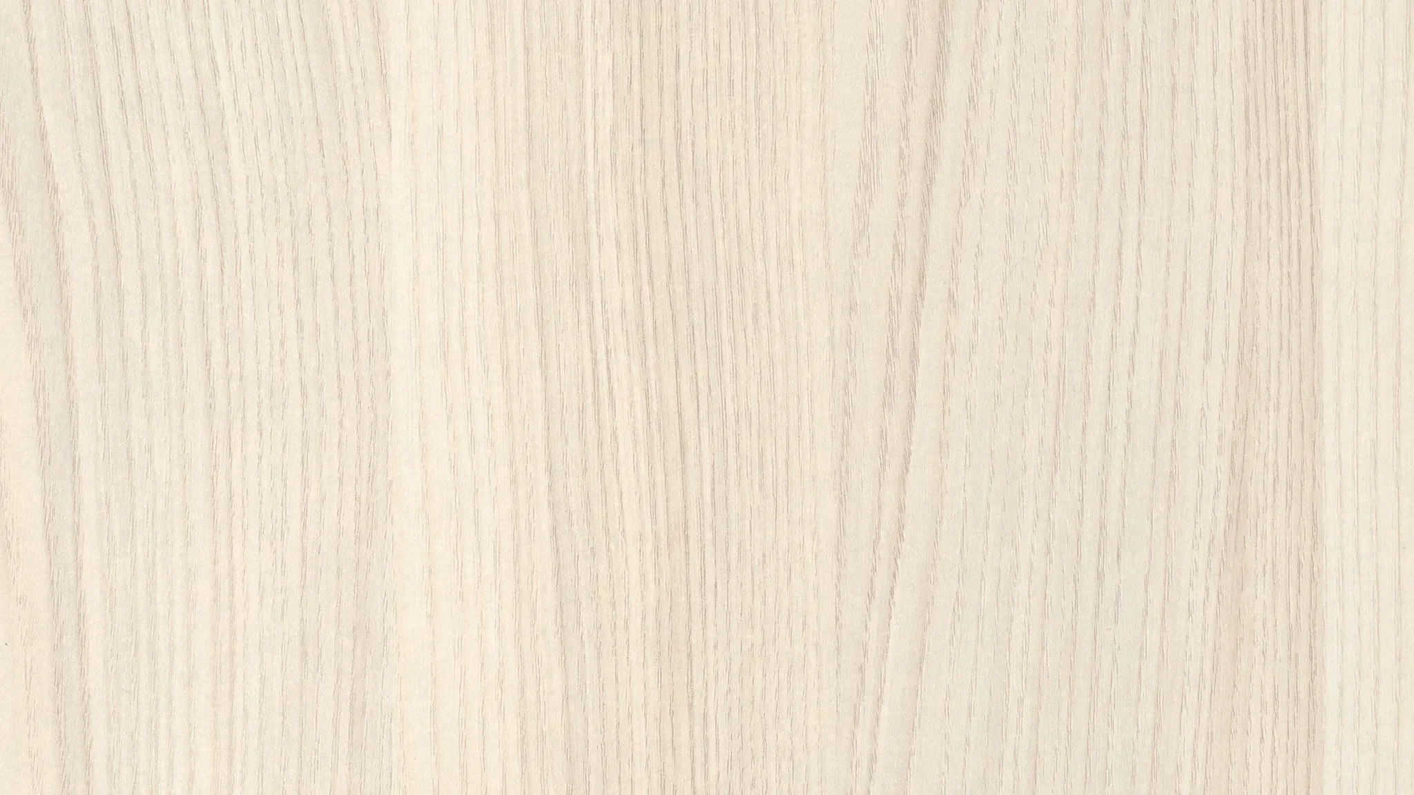 H1223 ST19 Sevilla Ash