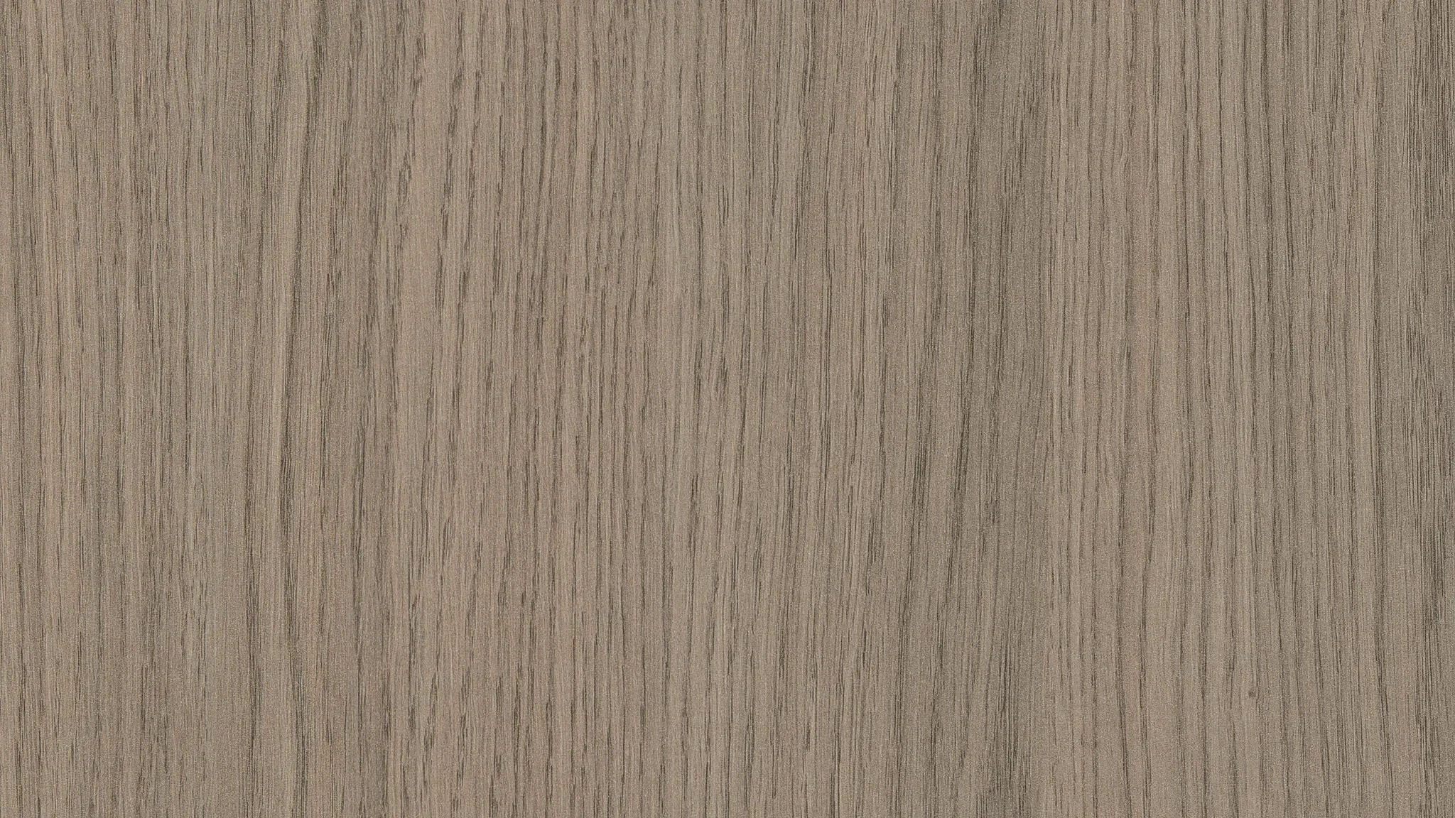 H3158 ST19 Grey Vicenza Oak