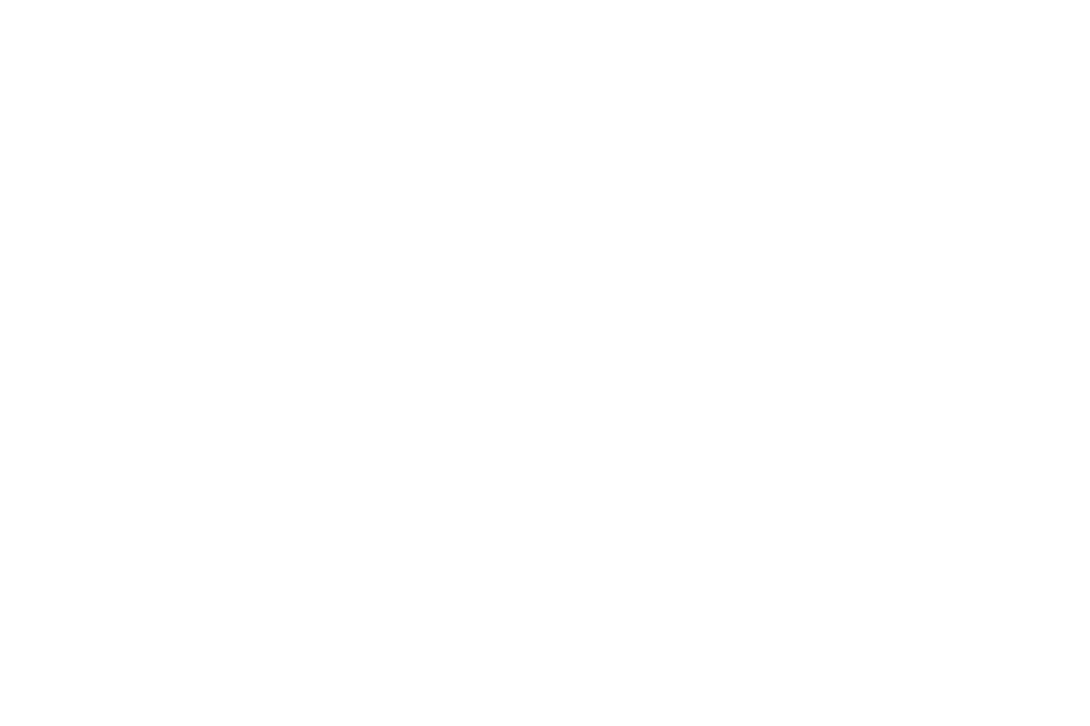 Santander White logo.png