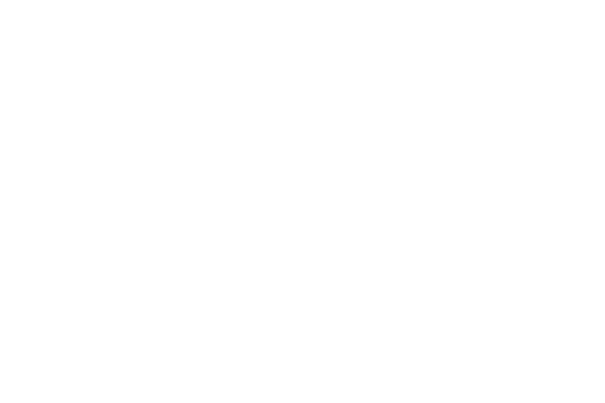 o2 White logo.png