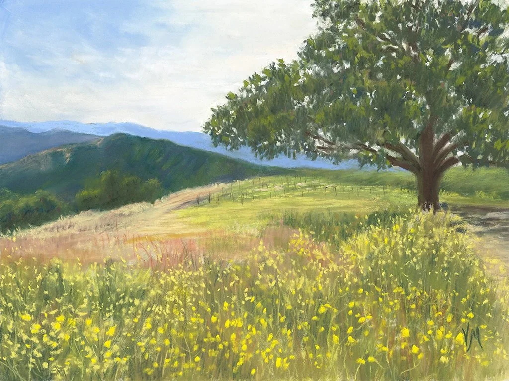  Hedge Mustard at Tira Nanza ( 12 1/4” x 9 1/4”)