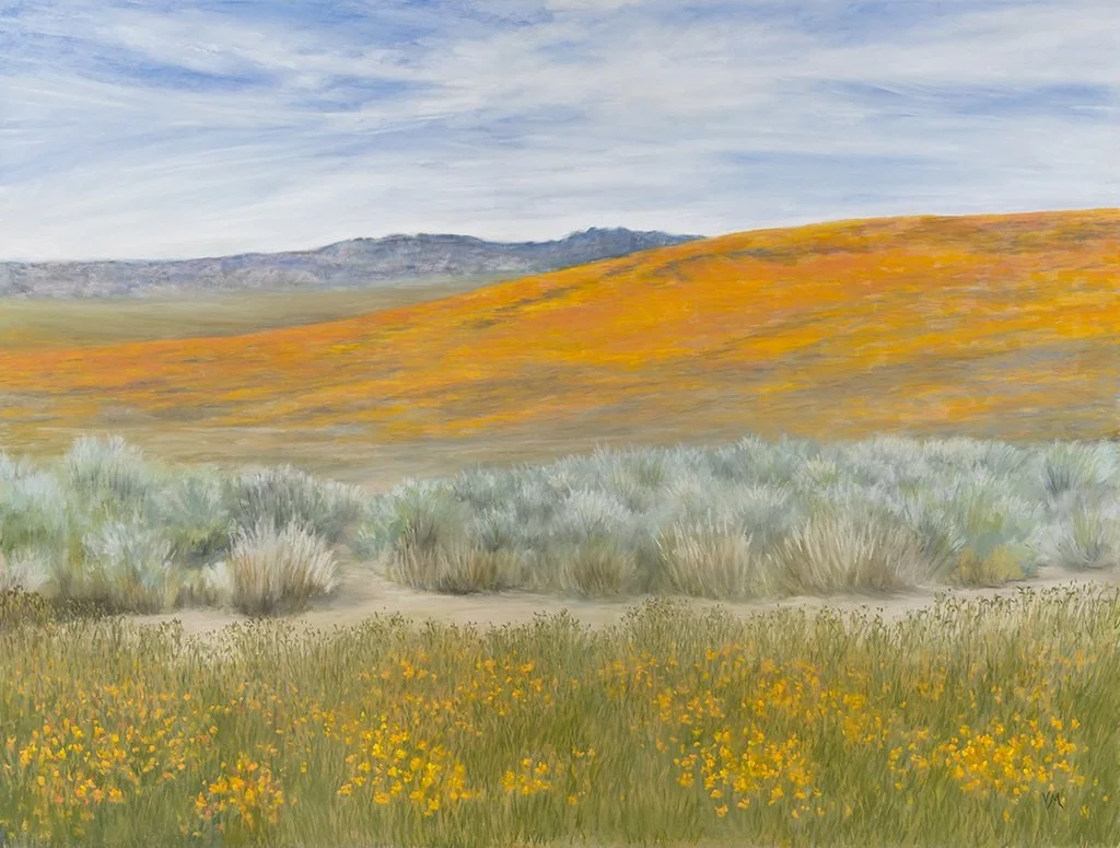 Ginny website Antelope Valley Poppy Reserve.jpg