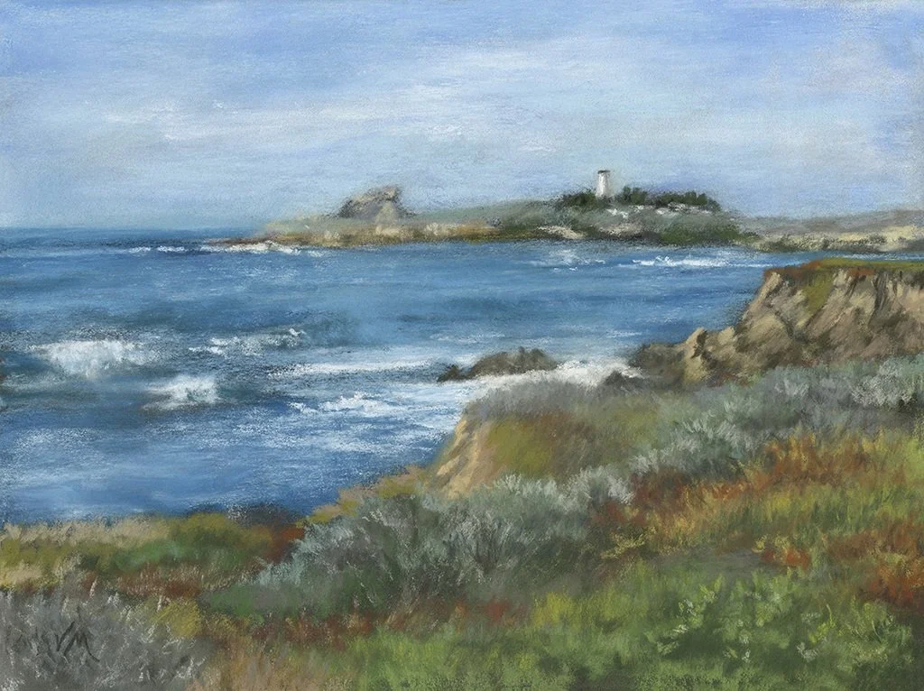 Ginny website Pigeon Point.jpg