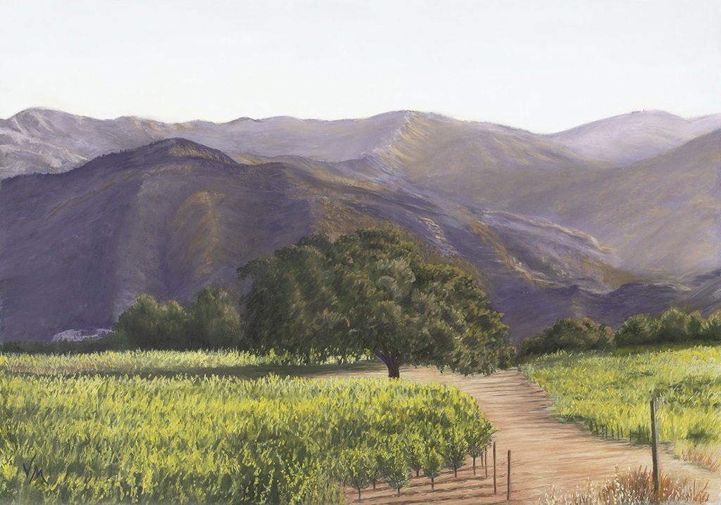 Tira Nanza Vineyard for website.jpg