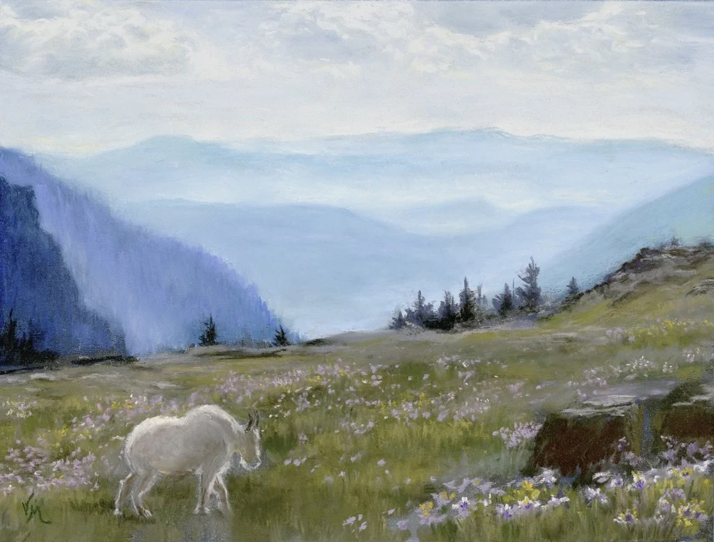 Mountain Goat, Glacier National Park
