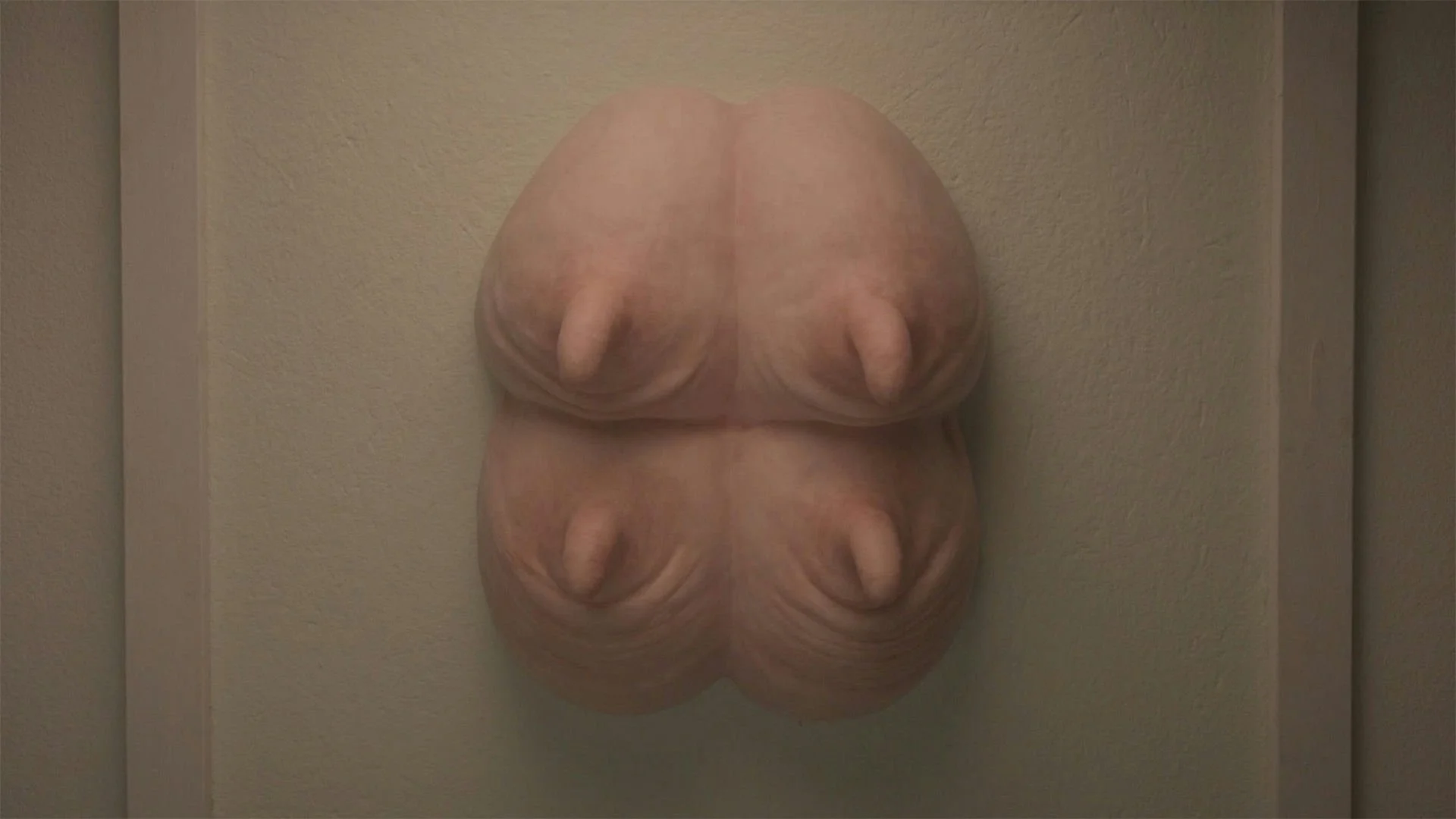 Wall Udder