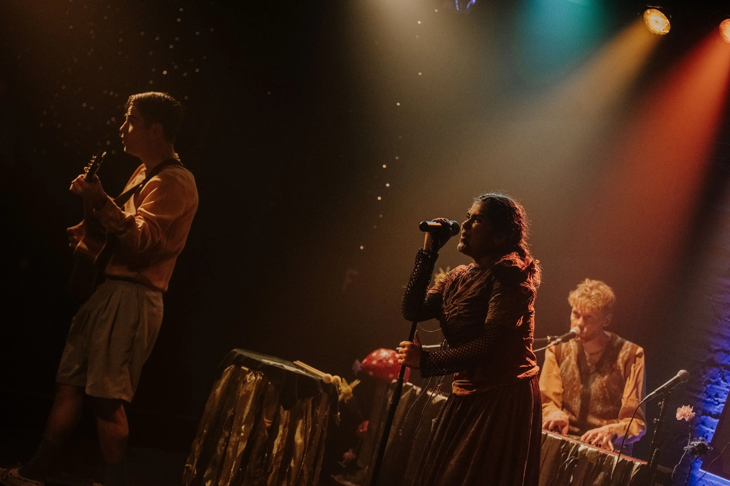 Musicians performing on stage with warm lighting, including a man playing guitar and a woman singing into a microphone, with other band members in the background.
