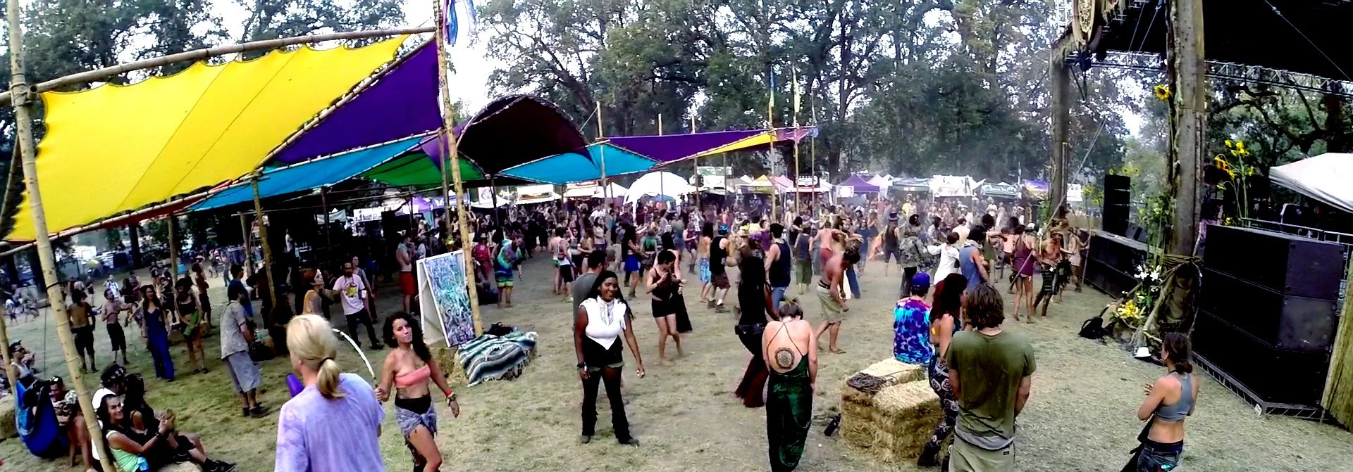 Butterfly in the sky 08 - EF - CE2015 copy.jpg