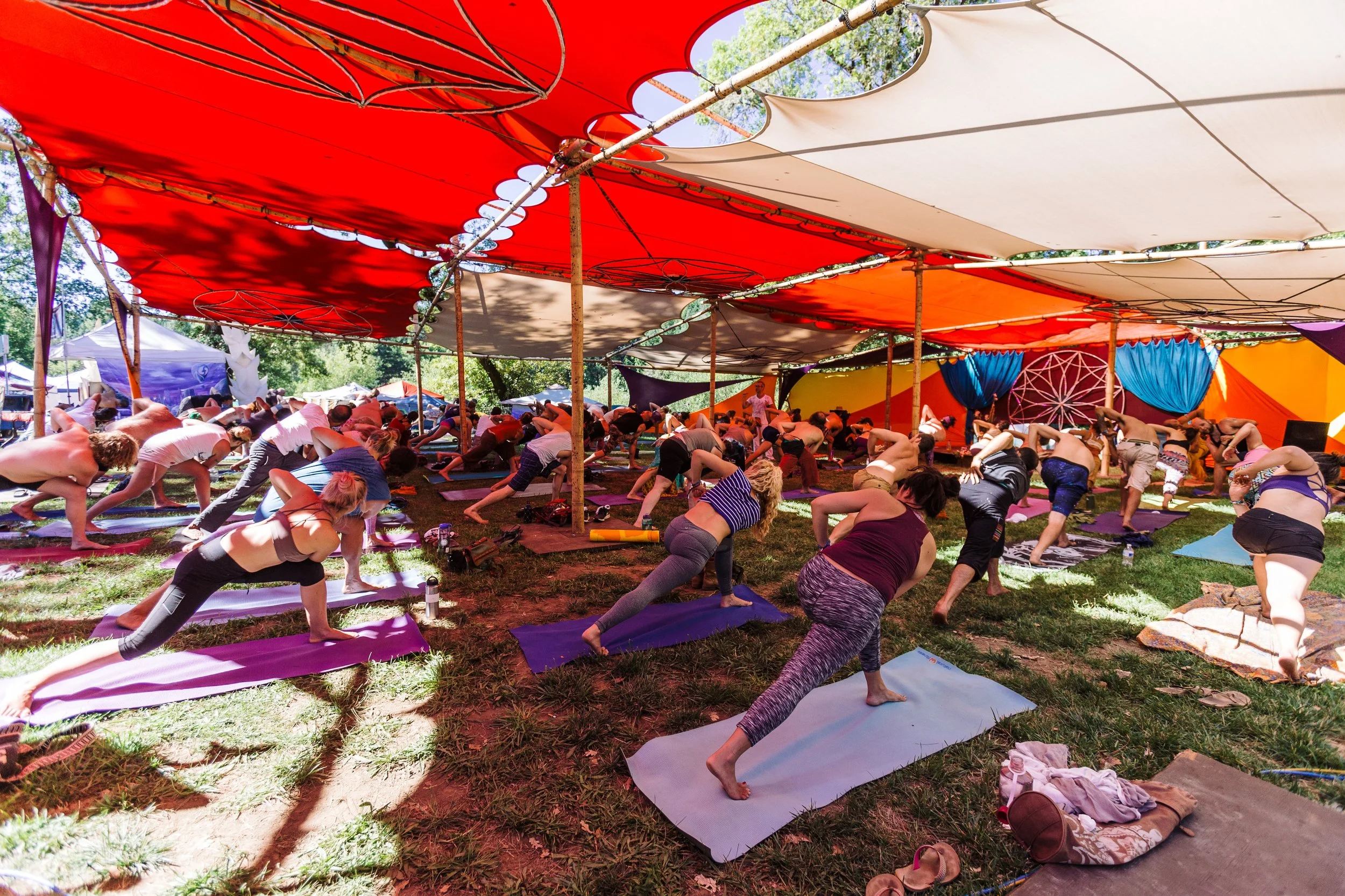 Forest Flow Shade (51x68)