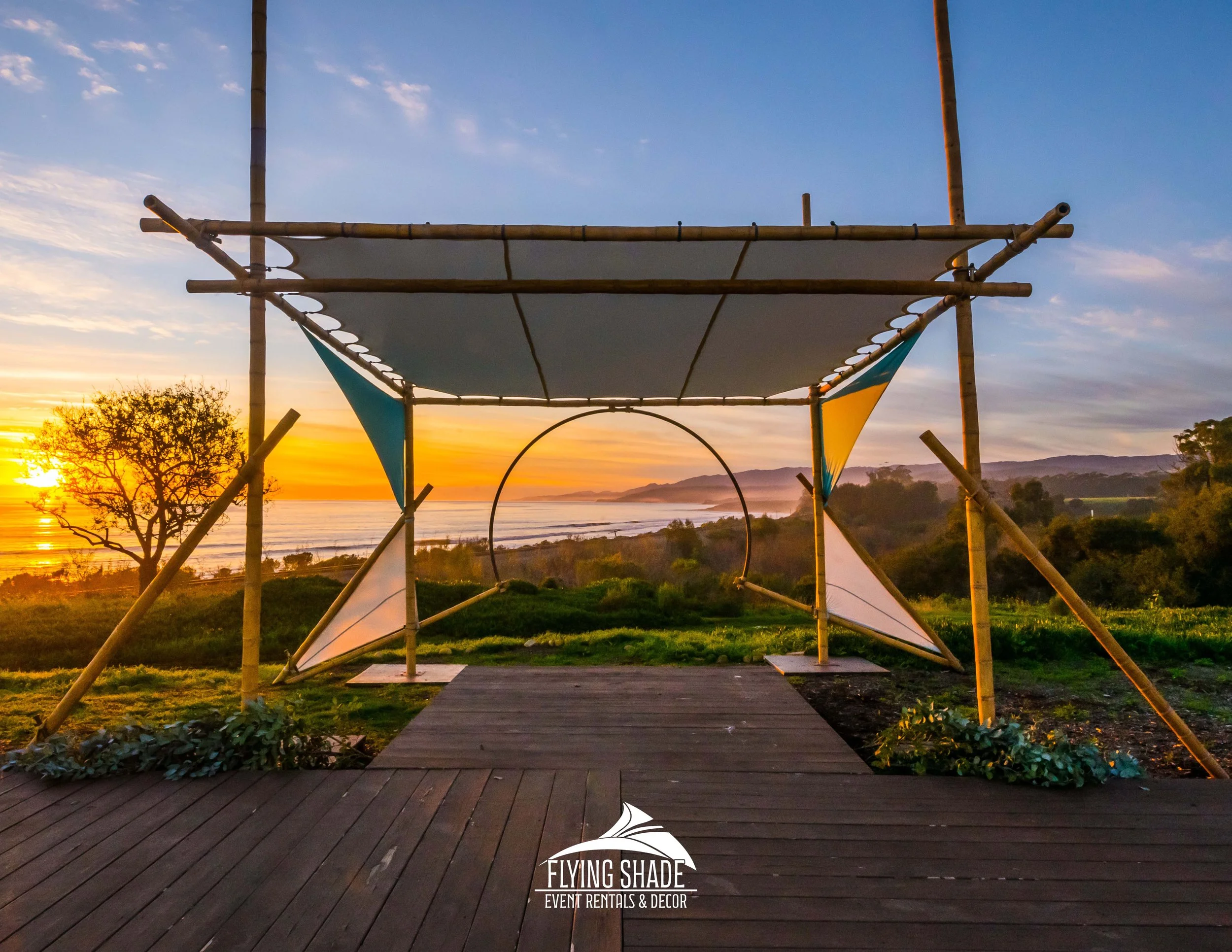 2 - Orchid One Cell 2020 - FlyingShade 2026.jpg